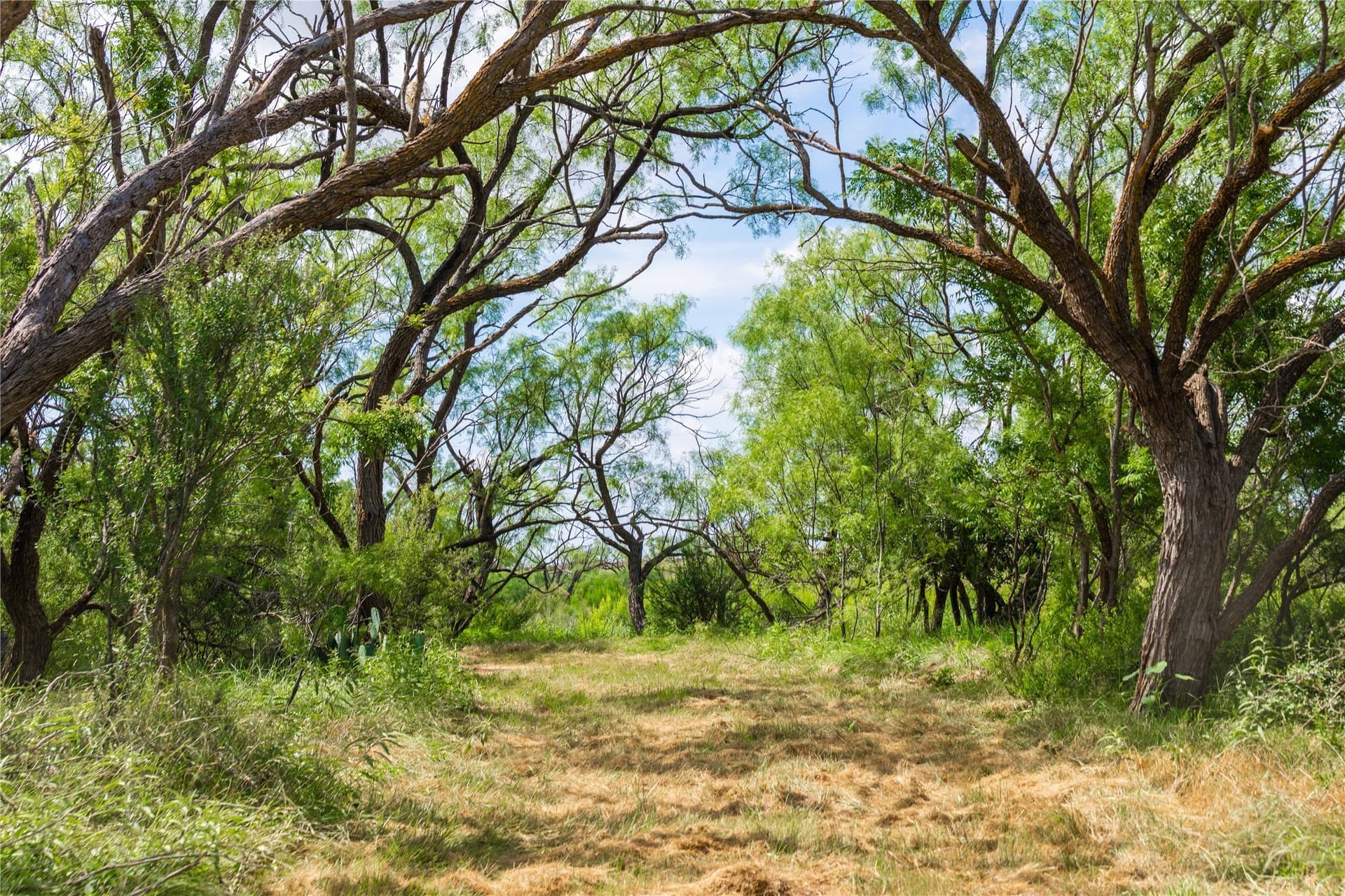 150.18 acres in Runnels County - photo 20