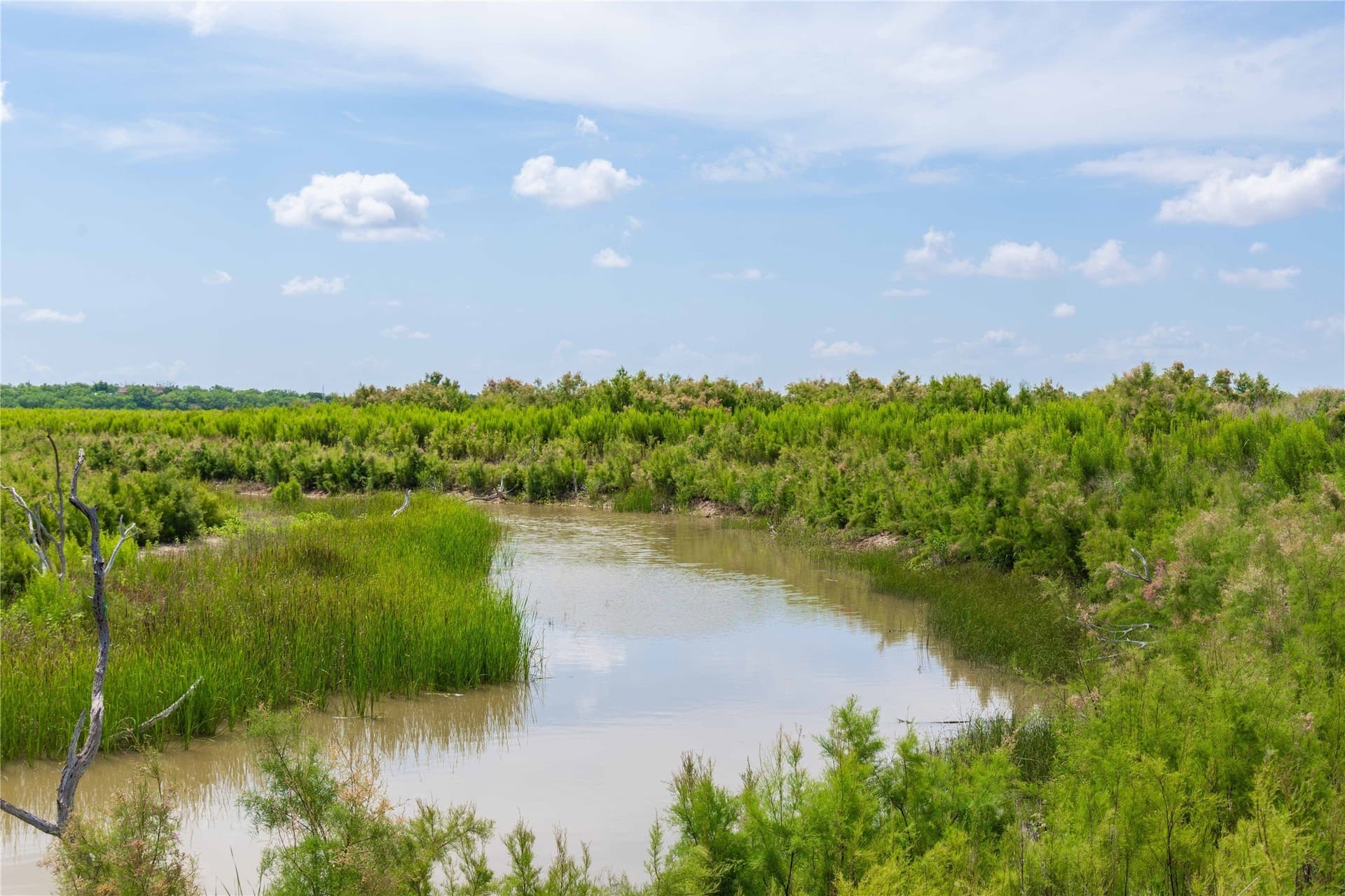 150.18 acres in Runnels County - photo 12