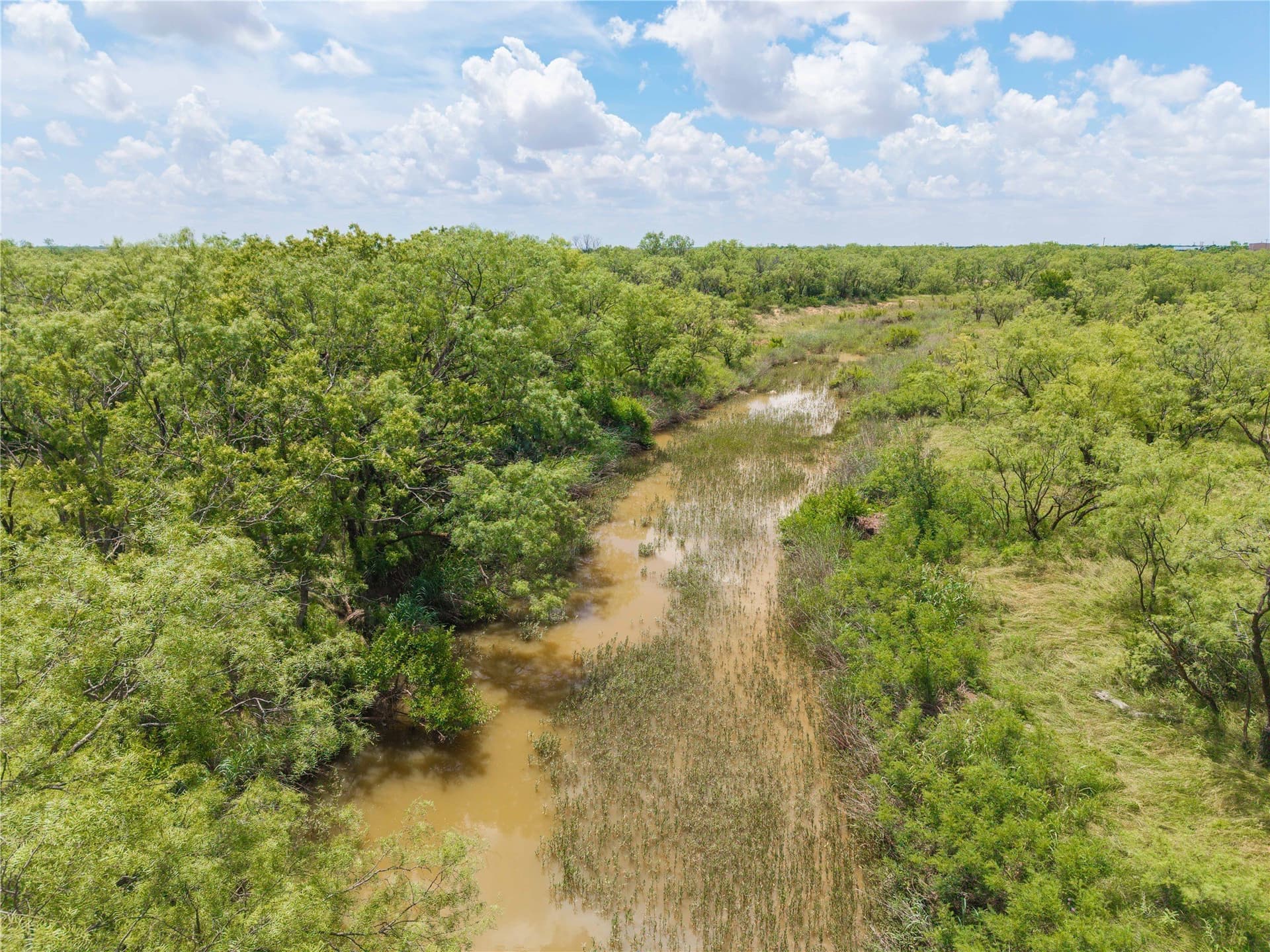 150.18 acres in Runnels County - photo 39