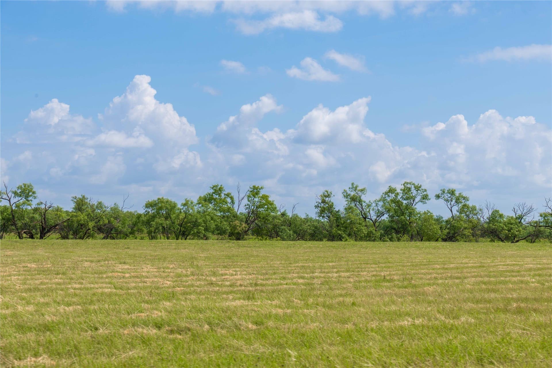 150.18 acres in Runnels County - photo 26