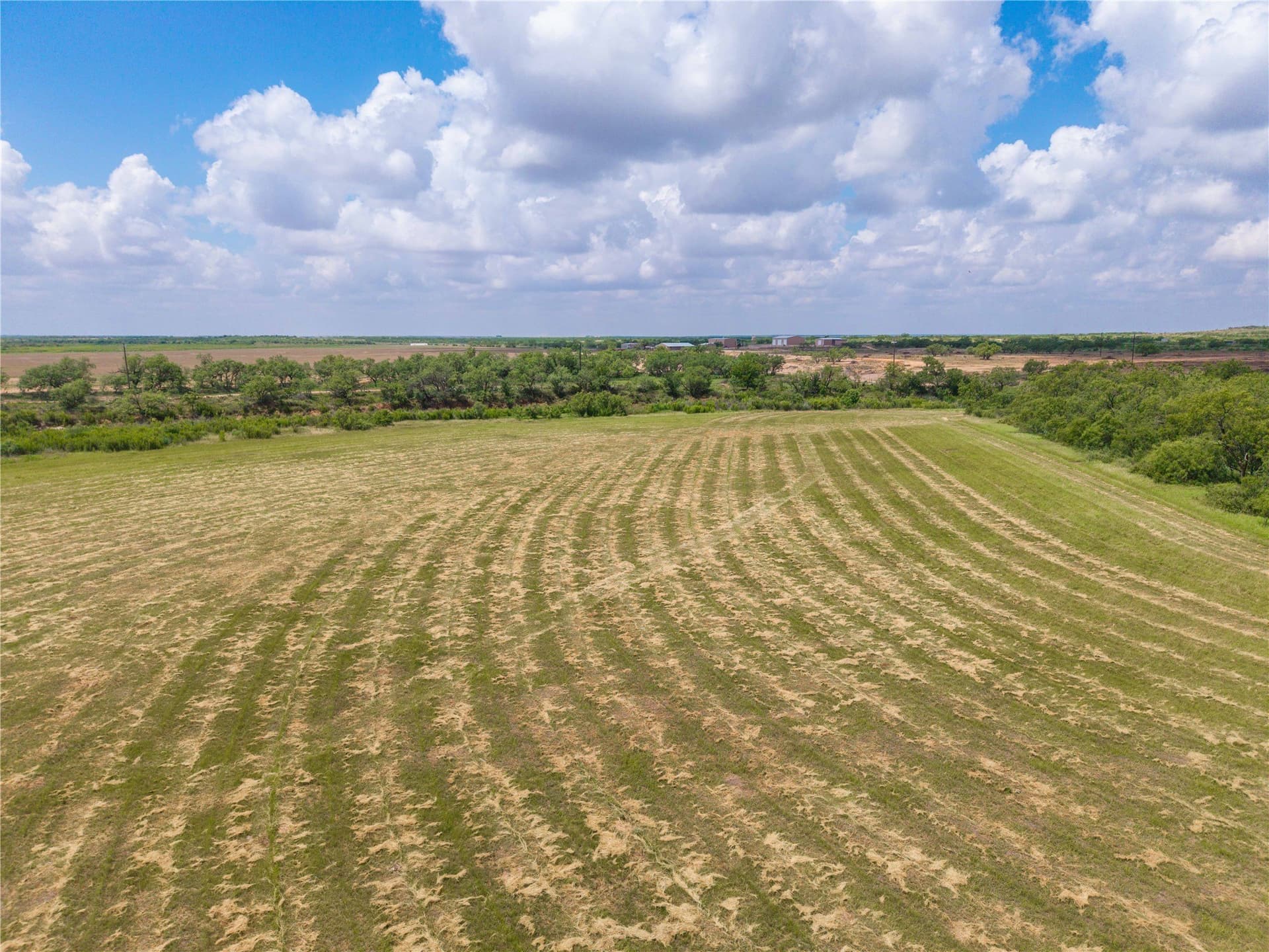 150.18 acres in Runnels County - photo 37