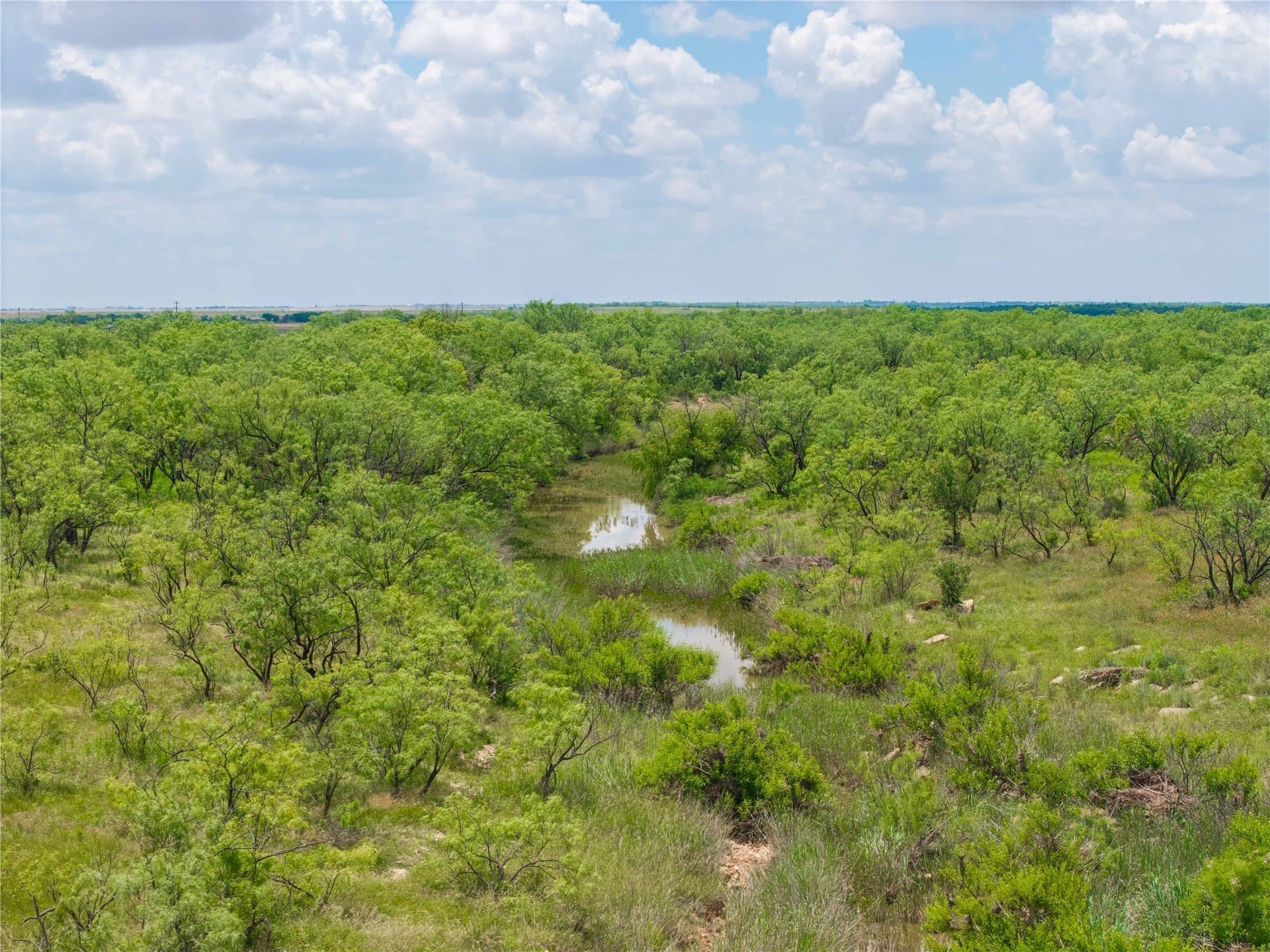150.18 acres in Runnels County - photo 38