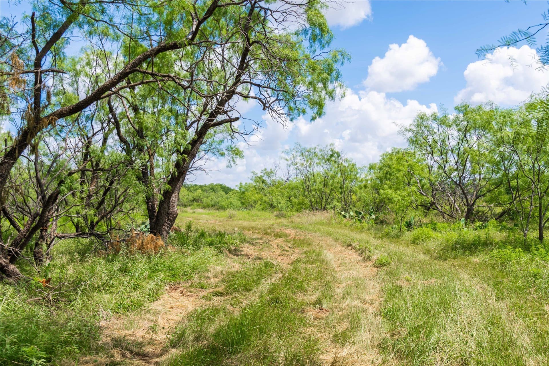 150.18 acres in Runnels County - photo 28