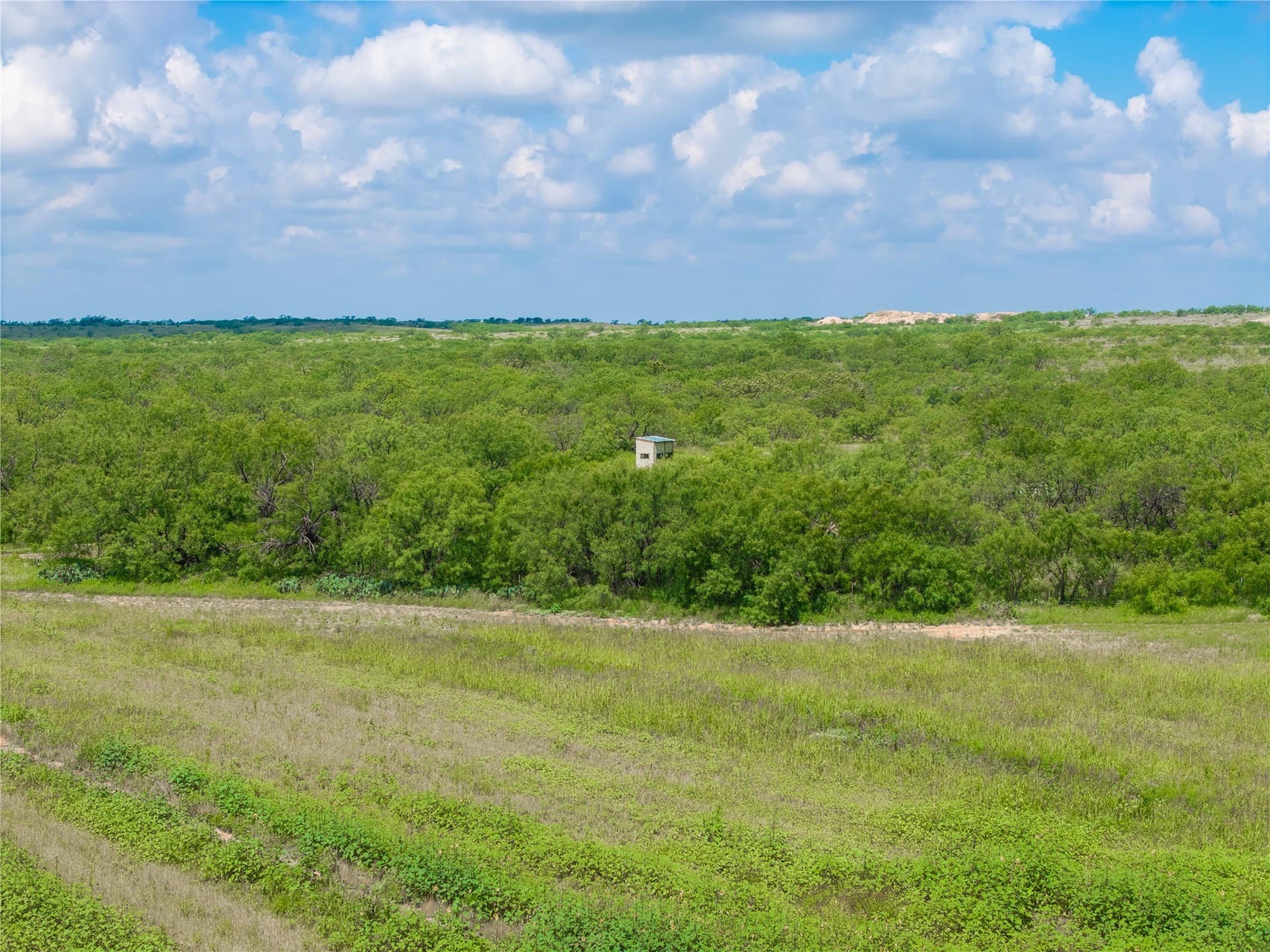 150.18 acres in Runnels County gallery image 3