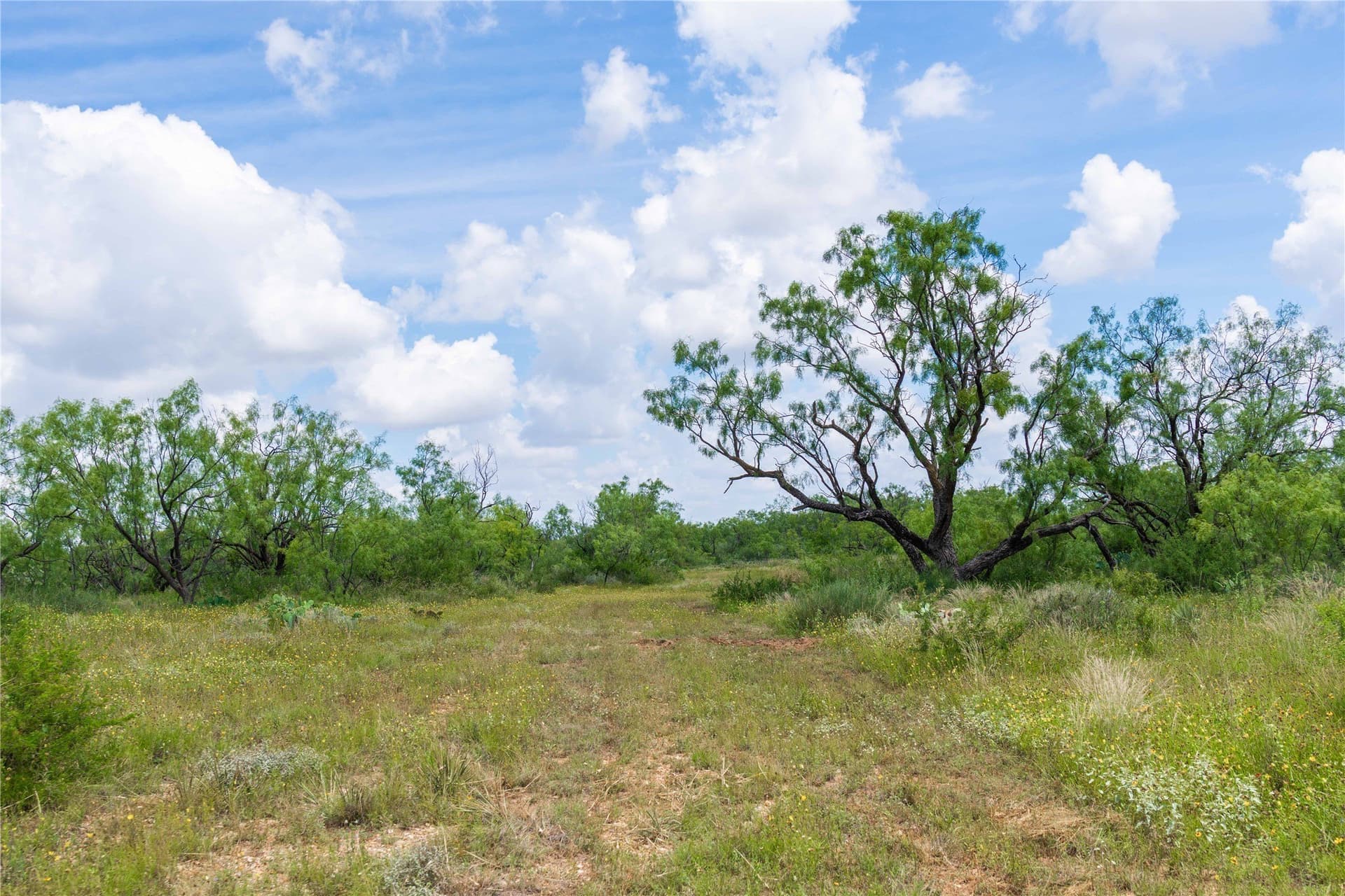 150.18 acres in Runnels County - photo 32