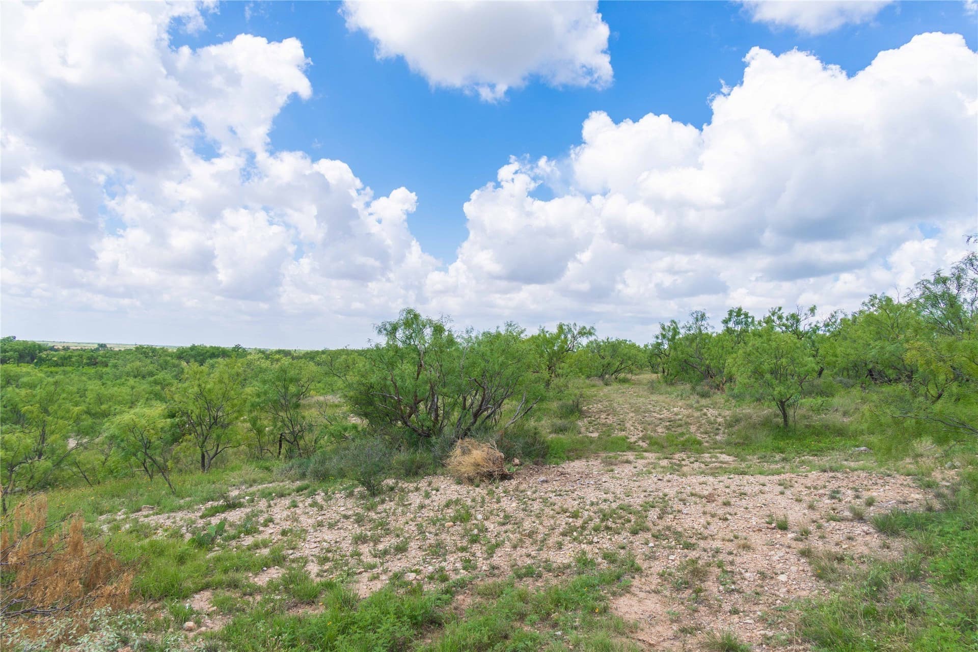 150.18 acres in Runnels County - photo 31