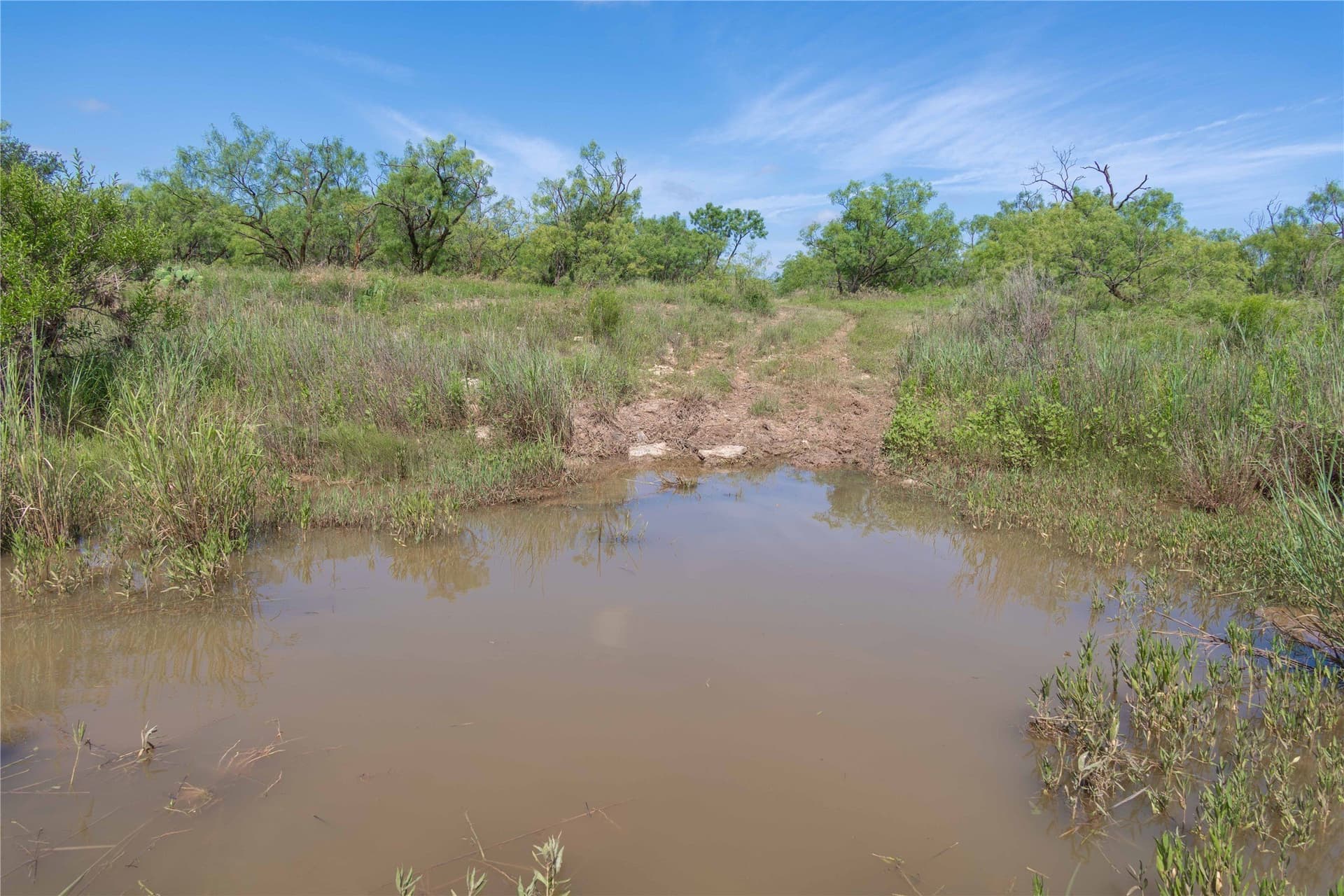 150.18 acres in Runnels County - photo 7