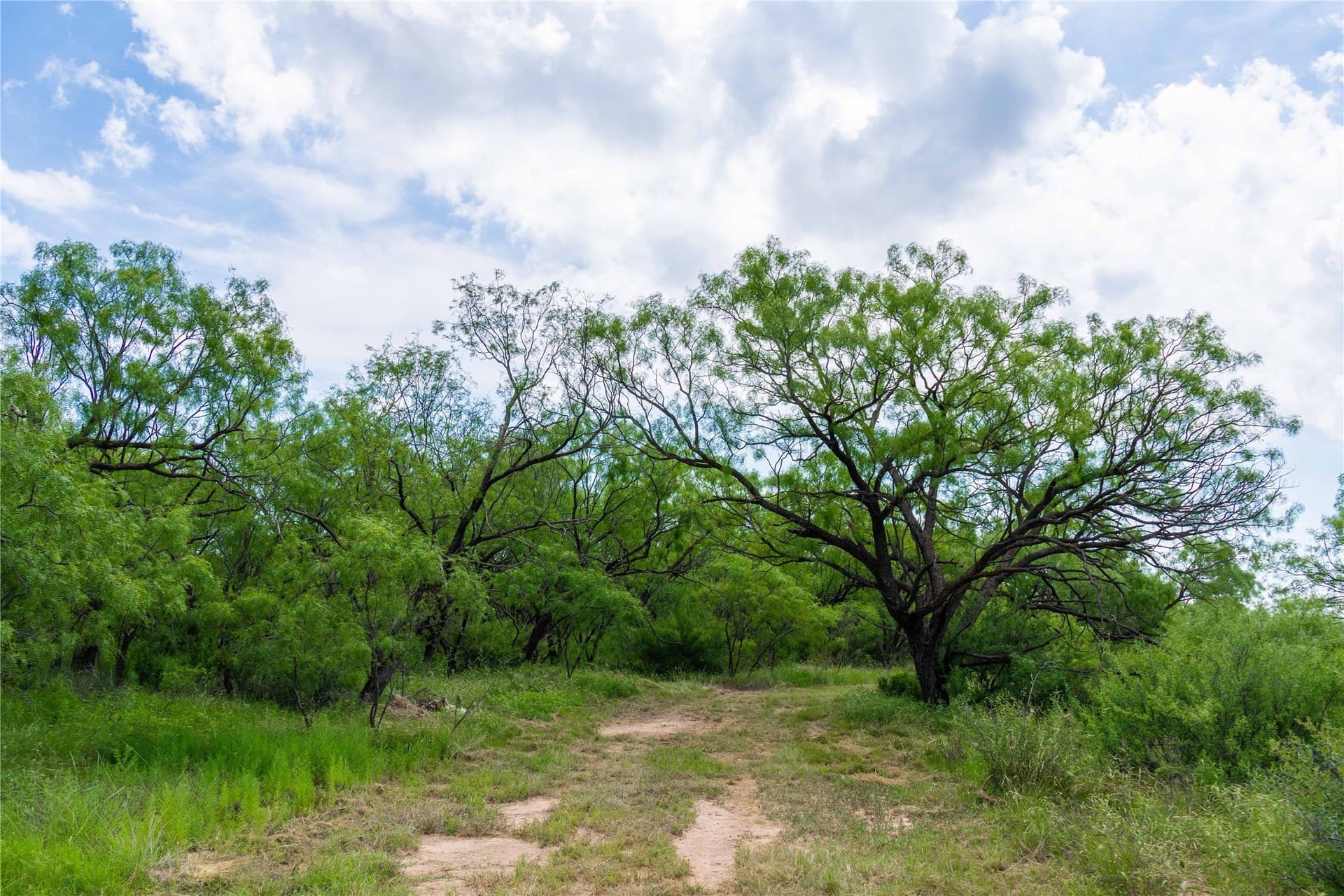 150.18 acres in Runnels County - photo 25