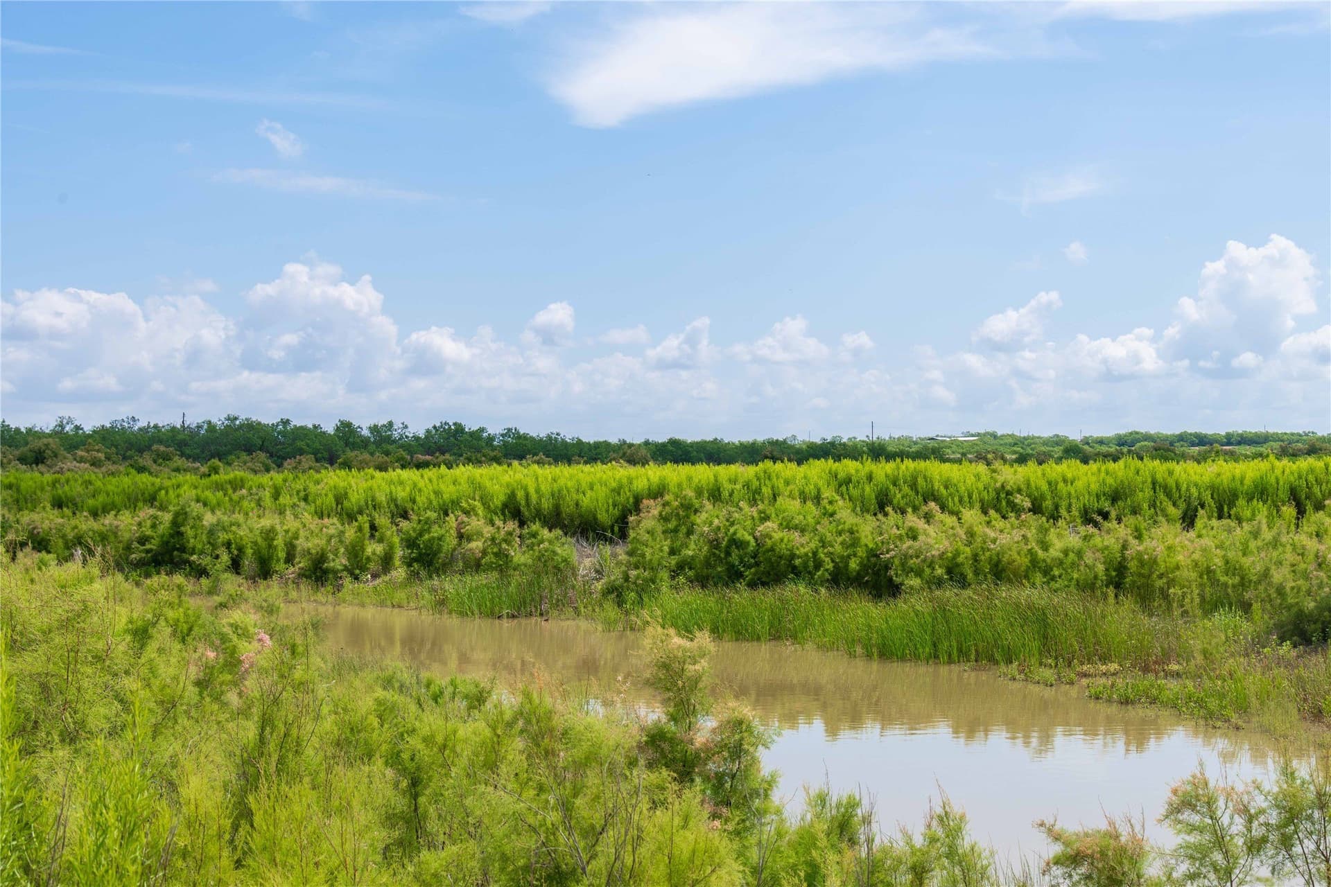 150.18 acres in Runnels County - photo 13