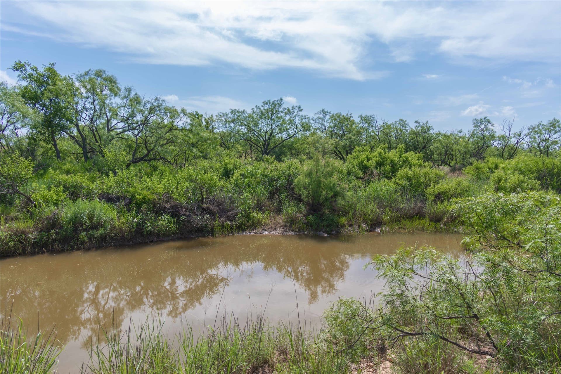 150.18 acres in Runnels County - photo 8