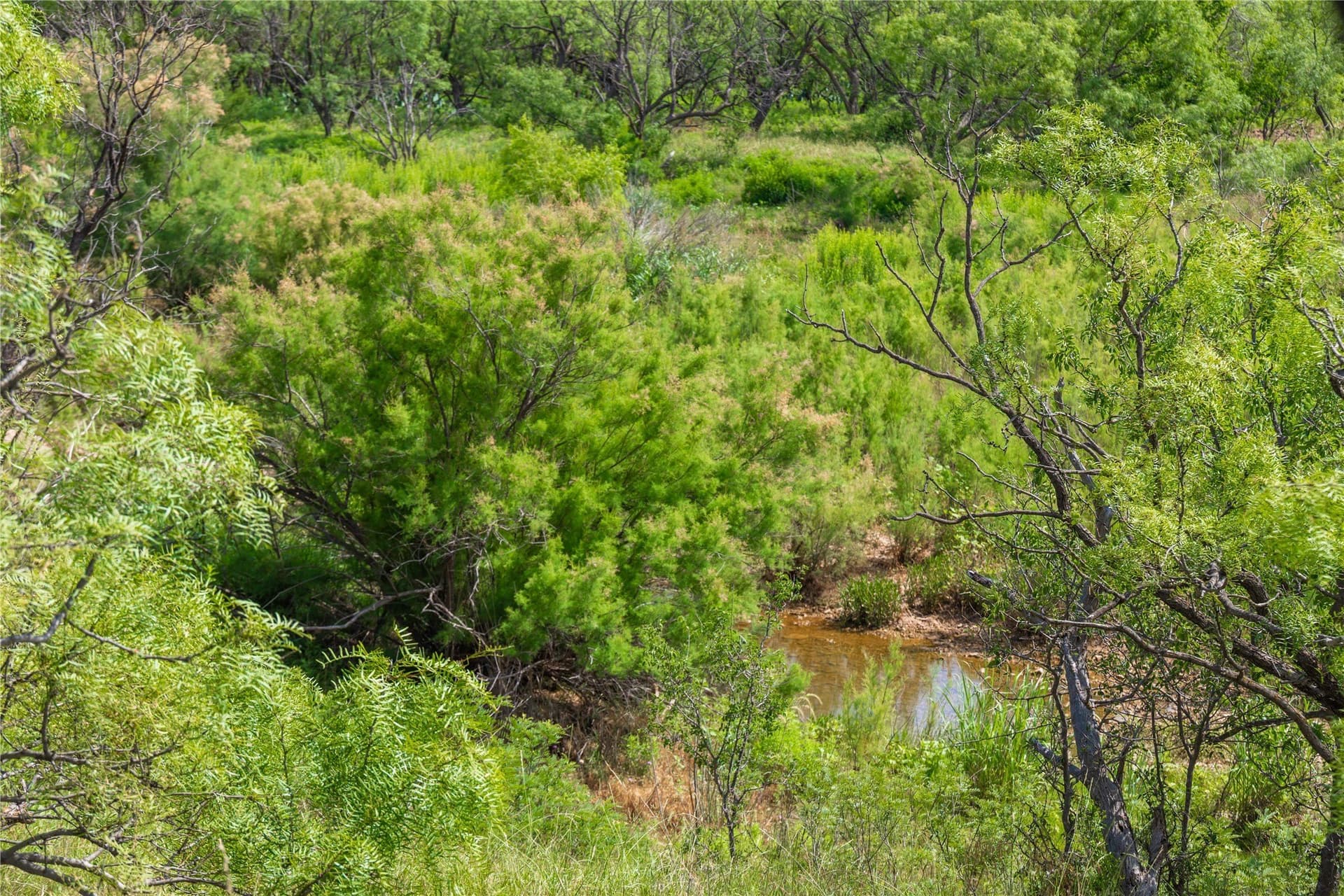 150.18 acres in Runnels County - photo 19