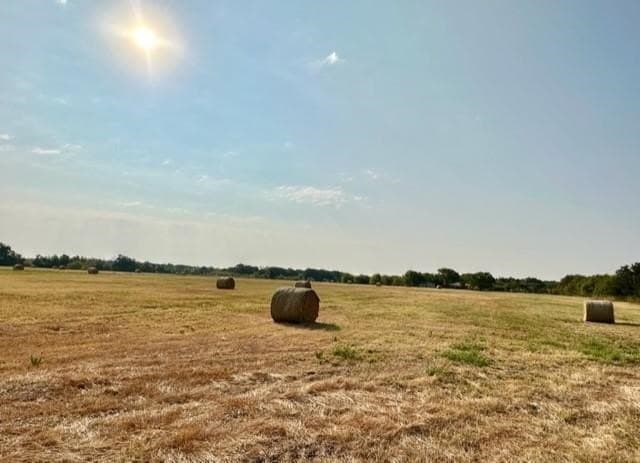 19.81 acres in McLennan County - photo 9