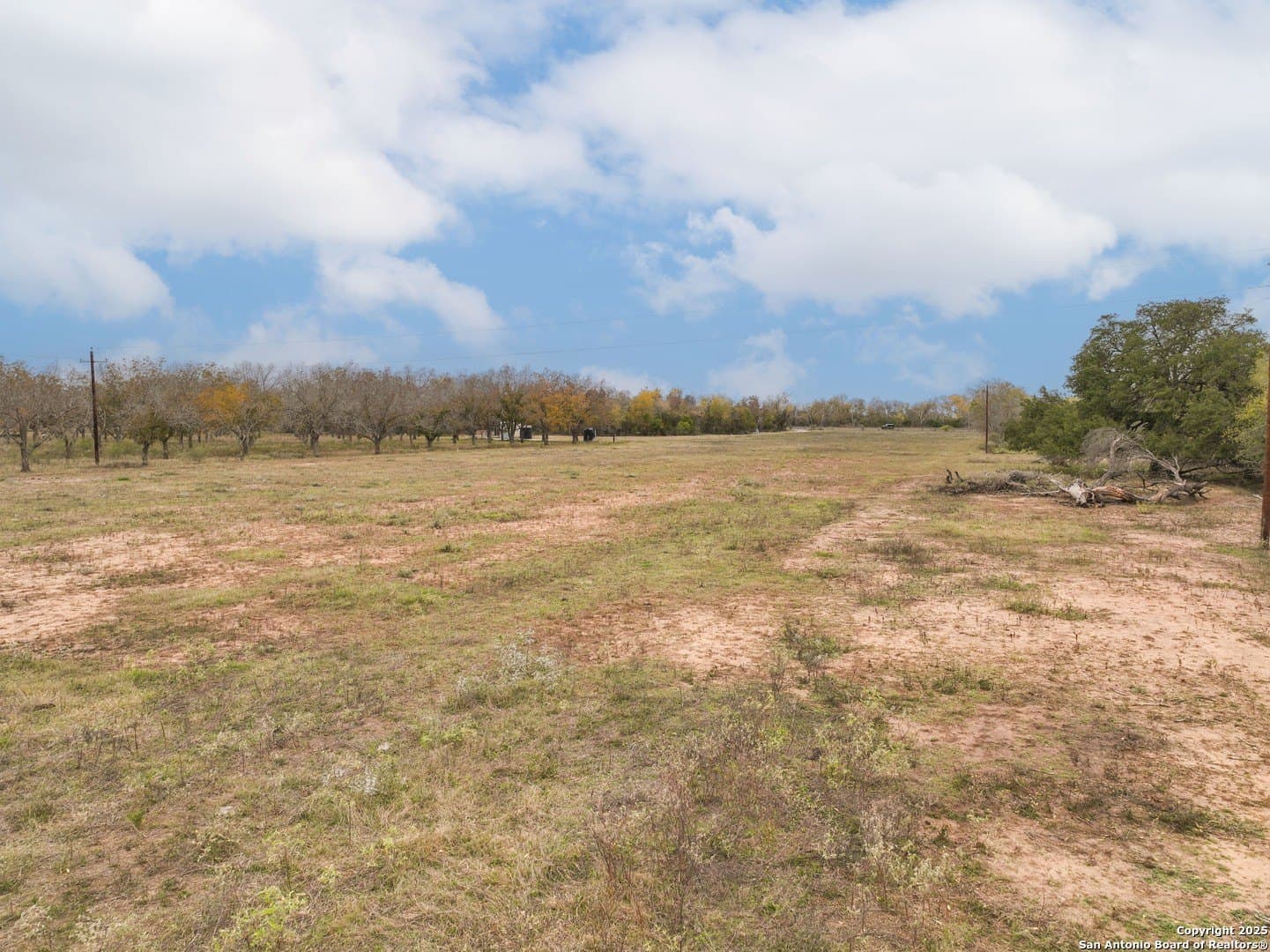5 acres in Medina County - photo 17