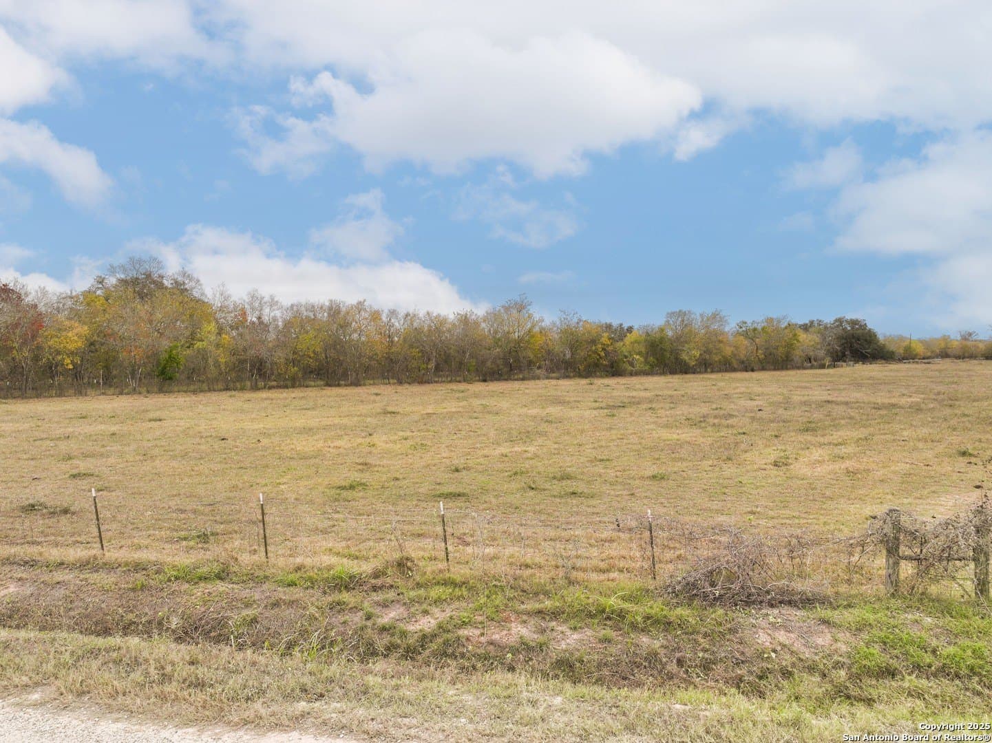 5 acres in Medina County - photo 11