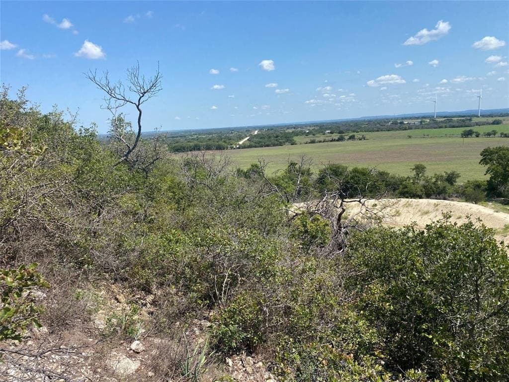 161 acres in Comanche County gallery image 2