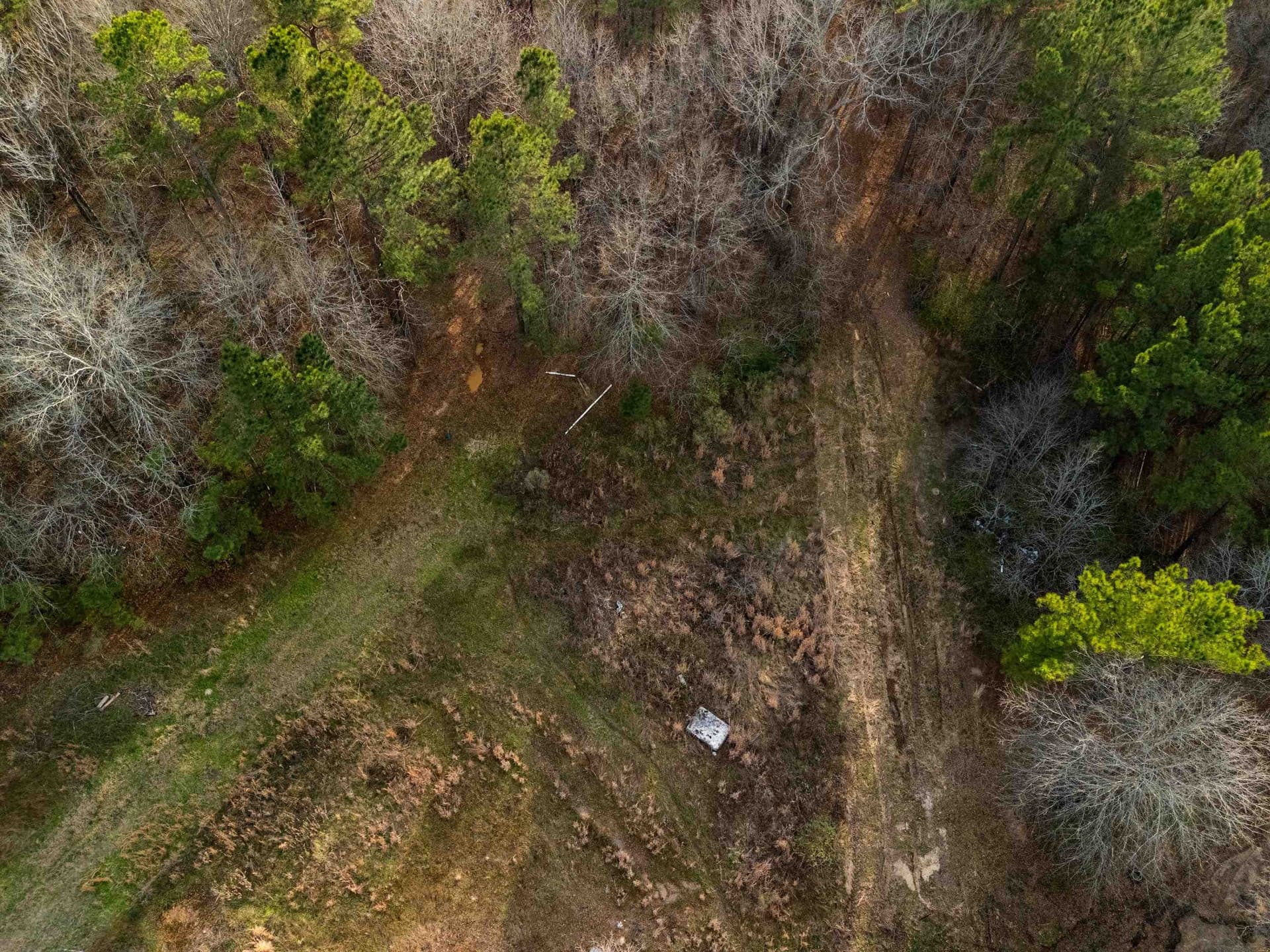 10 acres in Gregg County - photo 9
