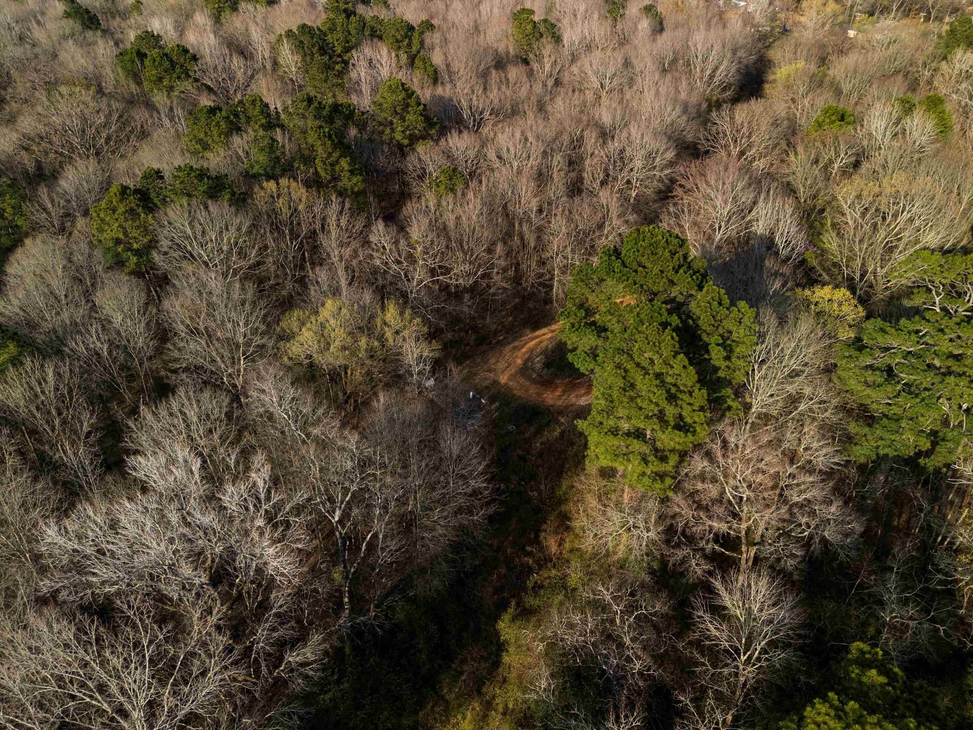 10 acres in Gregg County - photo 7