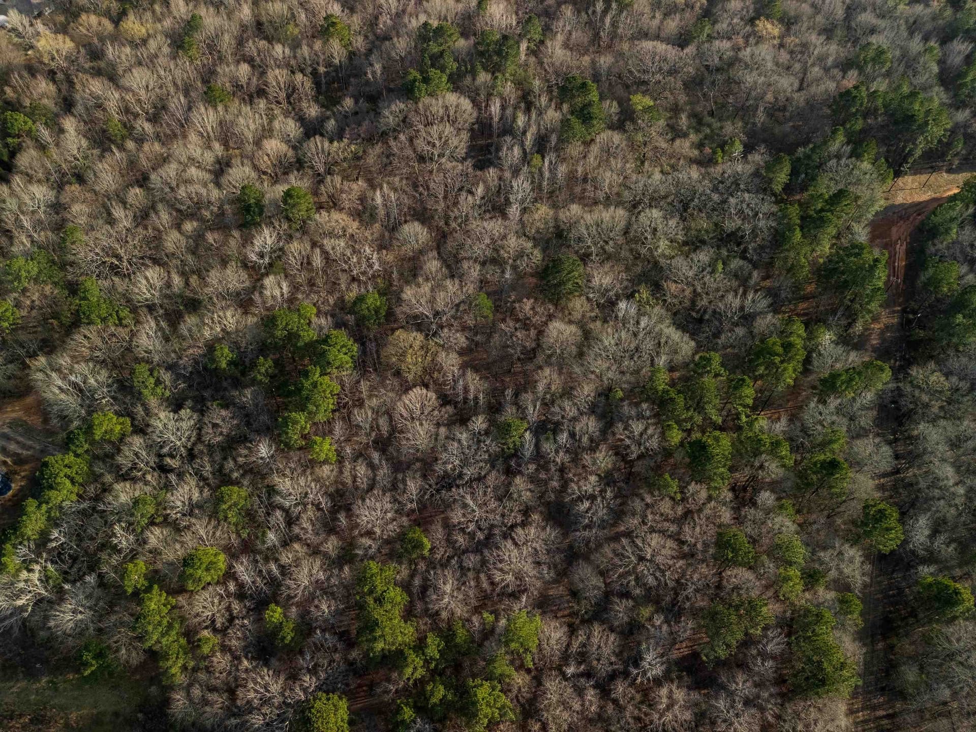 10 acres in Gregg County - photo 16