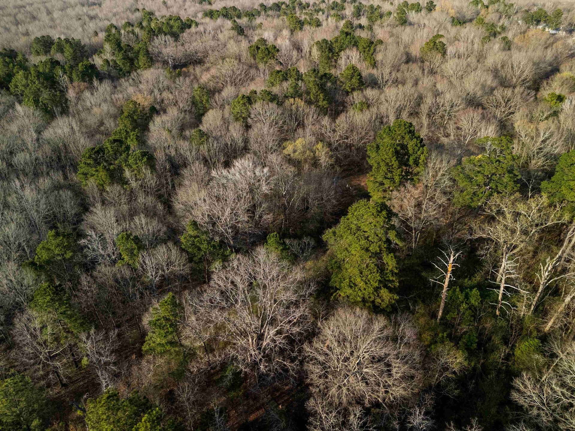 10 acres in Gregg County - photo 17
