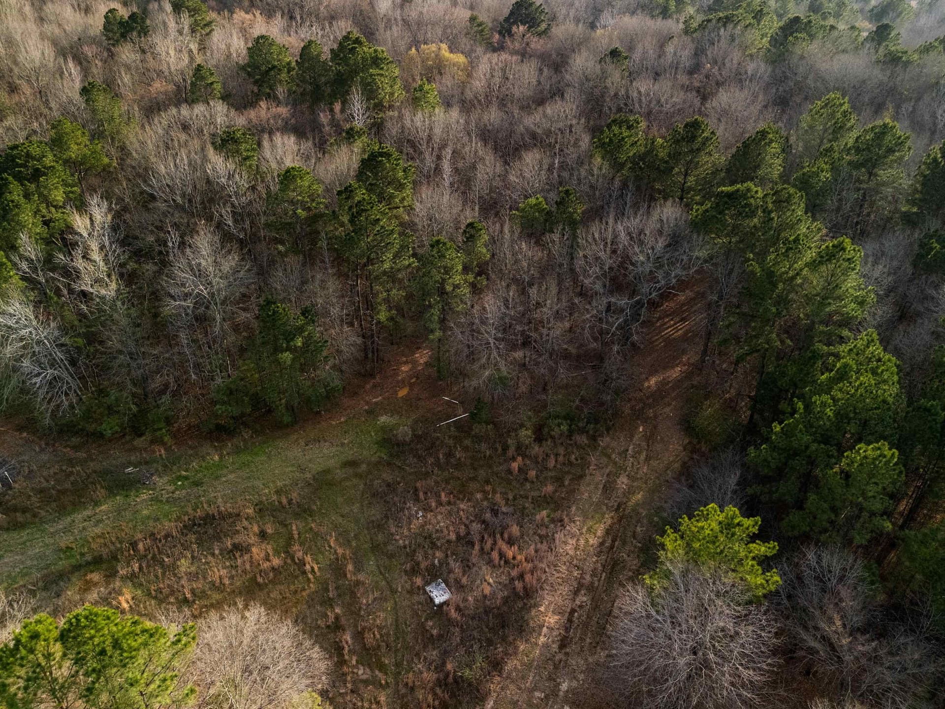 10 acres in Gregg County - photo 11
