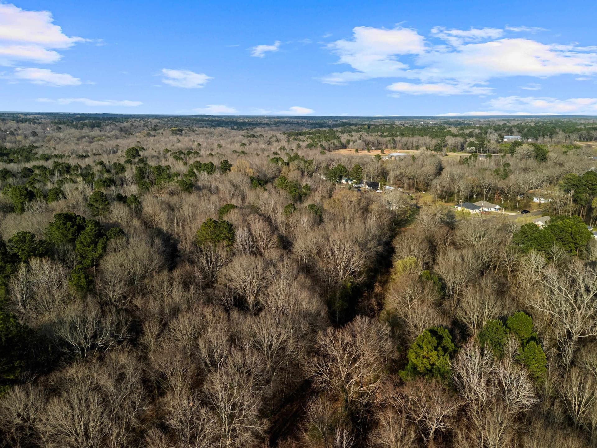 10 acres in Gregg County - photo 4