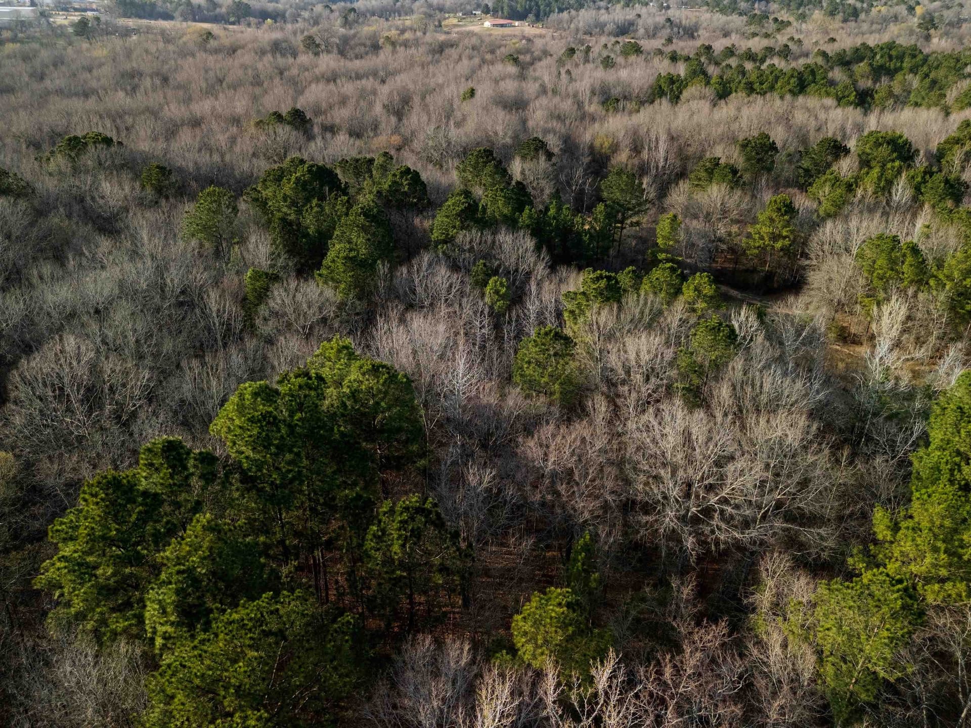 10 acres in Gregg County - photo 21