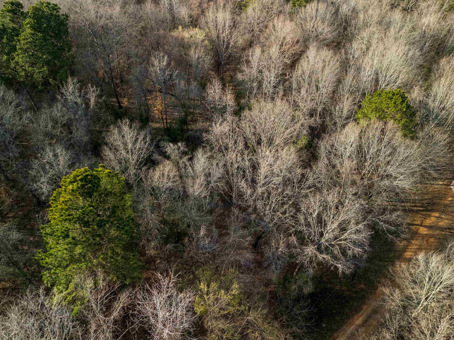 10 acres in Gregg County - photo 19