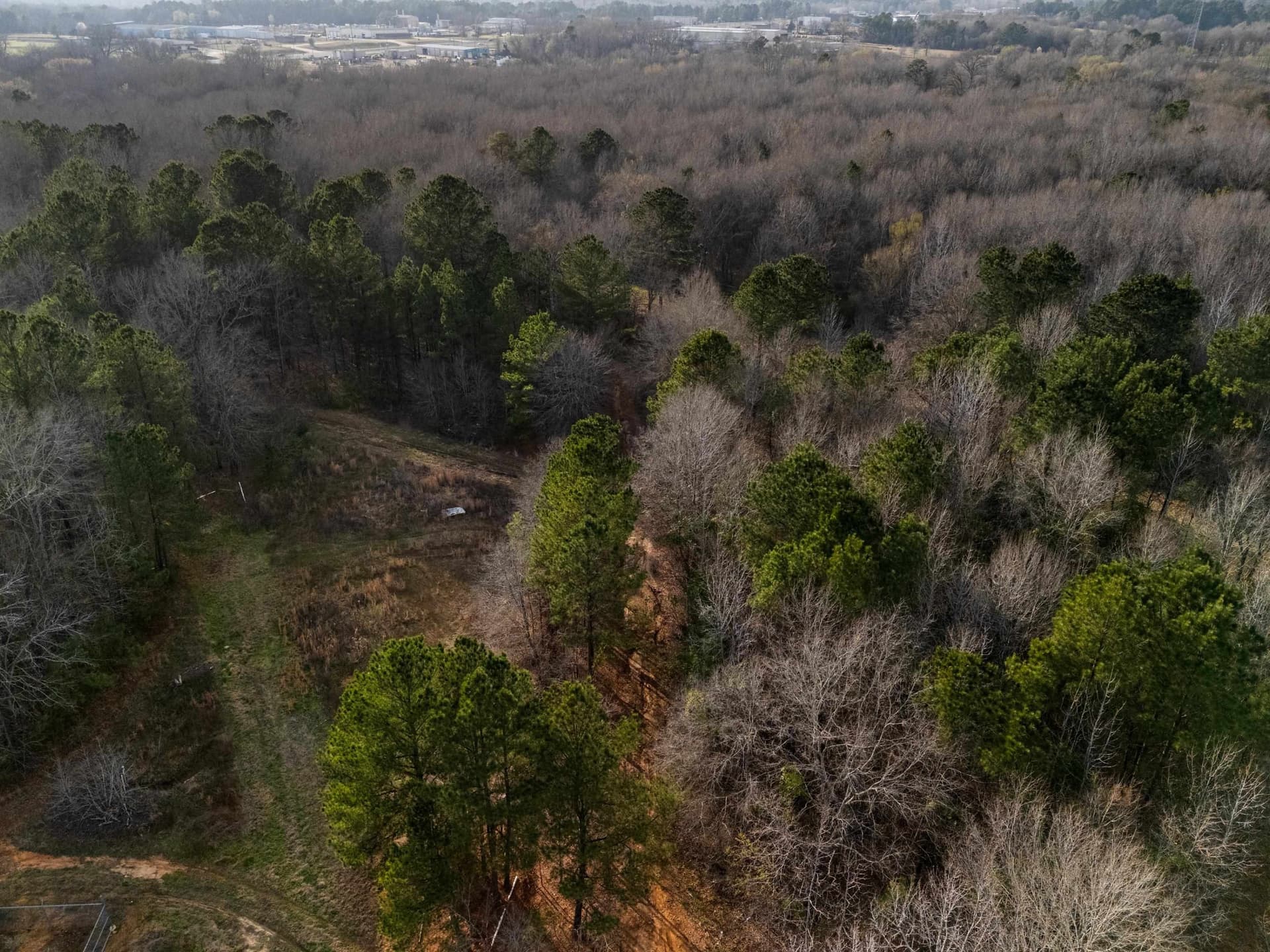 10 acres in Gregg County - photo 10