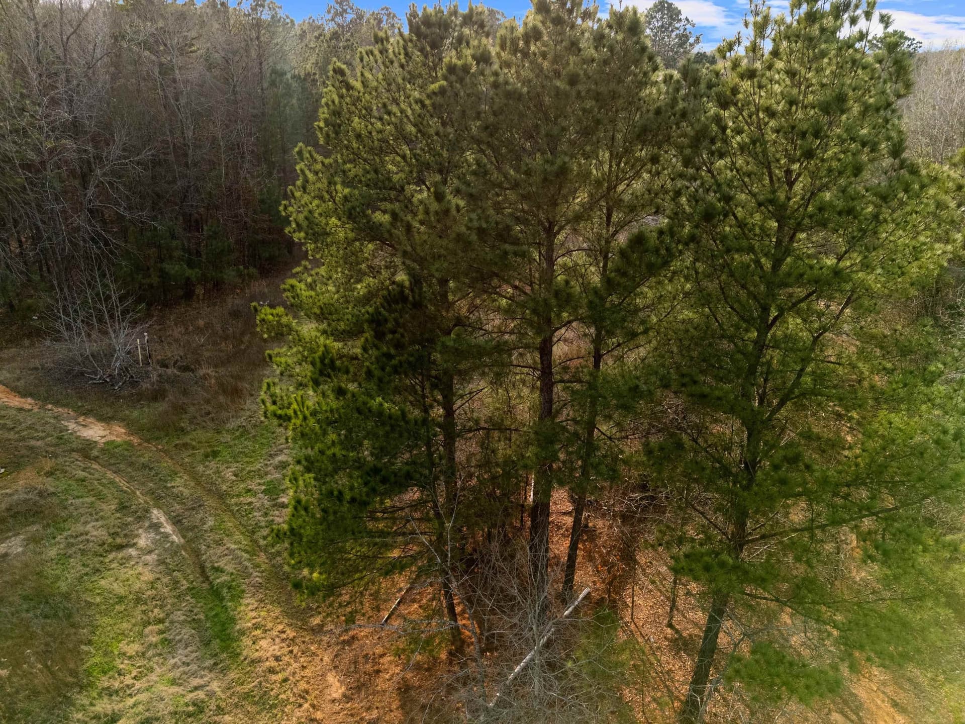 10 acres in Gregg County - photo 6