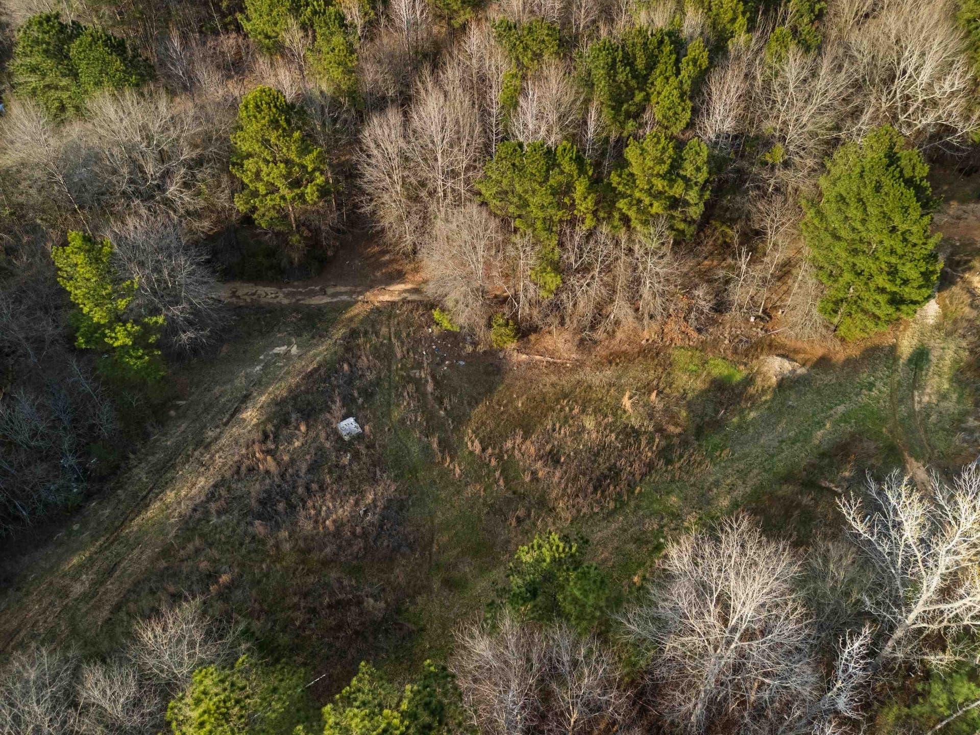 10 acres in Gregg County - photo 22