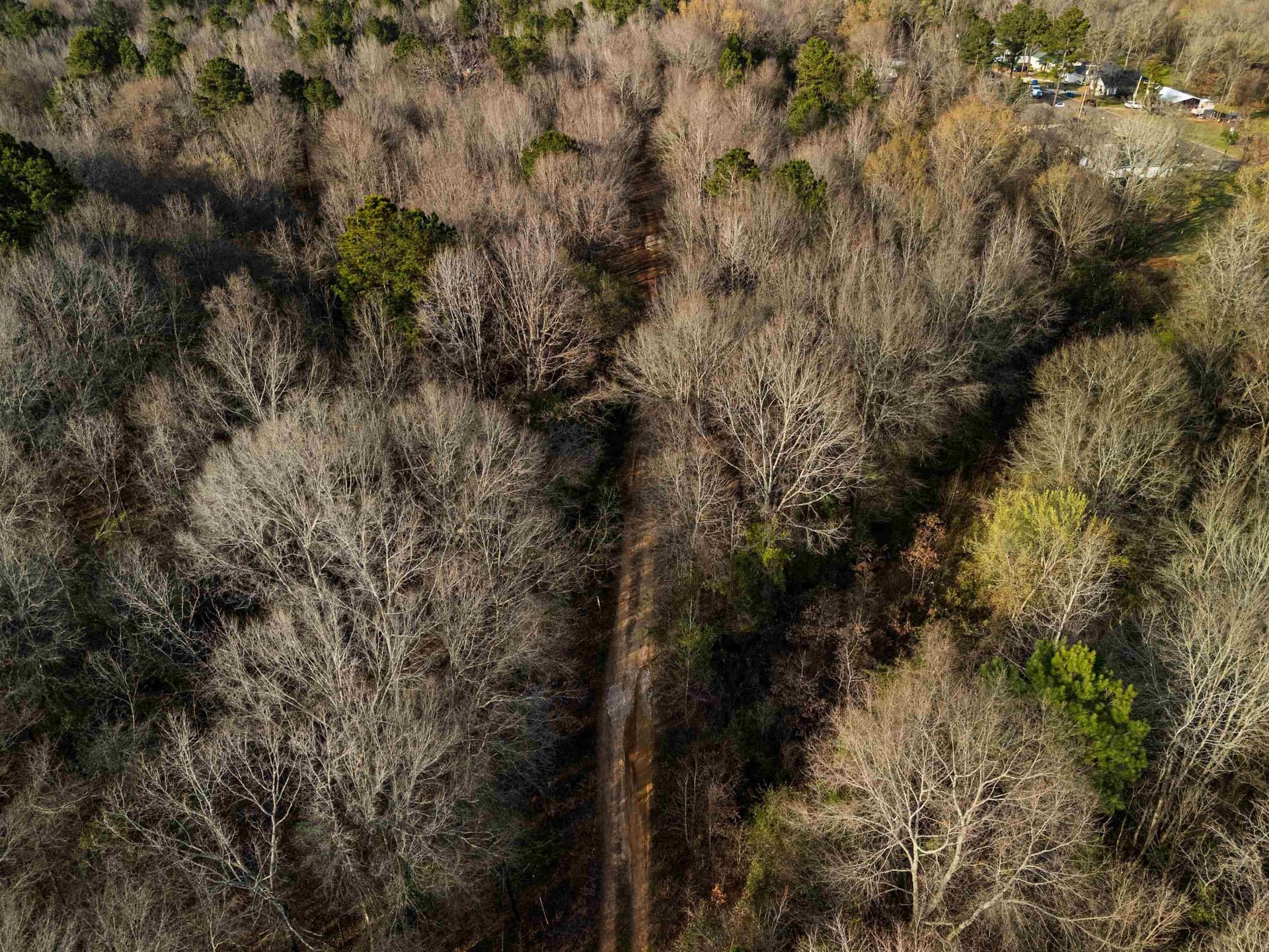 10 acres in Gregg County - photo 18
