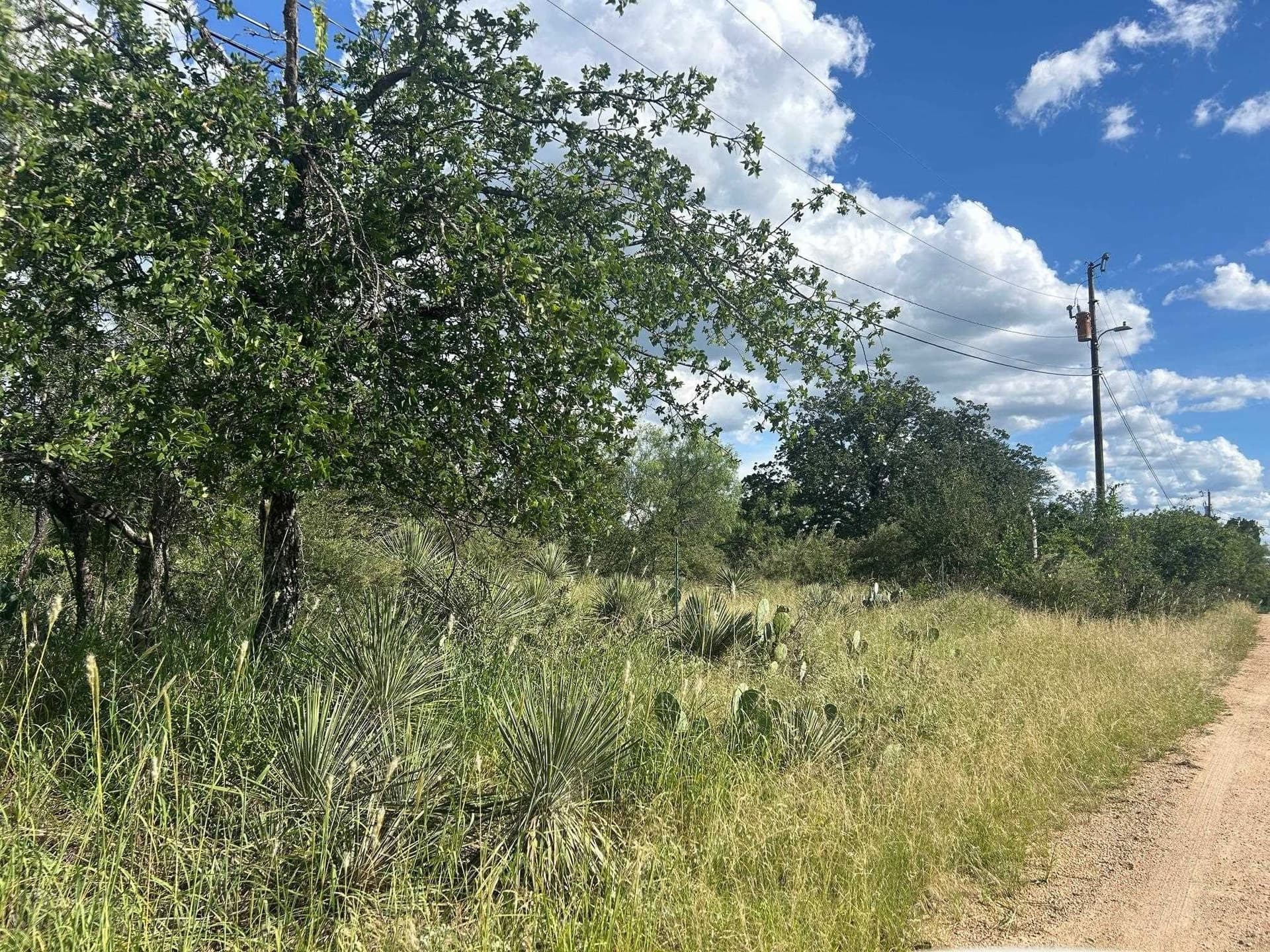 0.46 acres in Burnet County gallery image 2