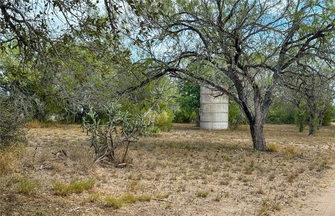 10 acres in Live Oak County featured view