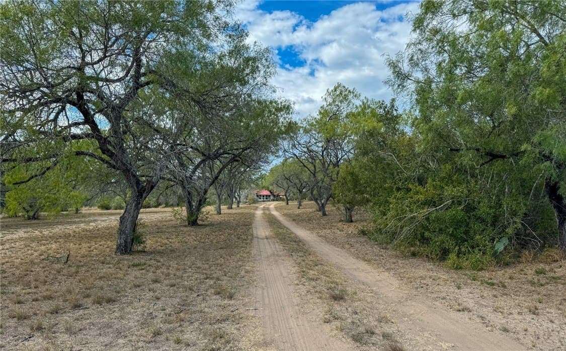 10 acres in Live Oak County gallery image 2