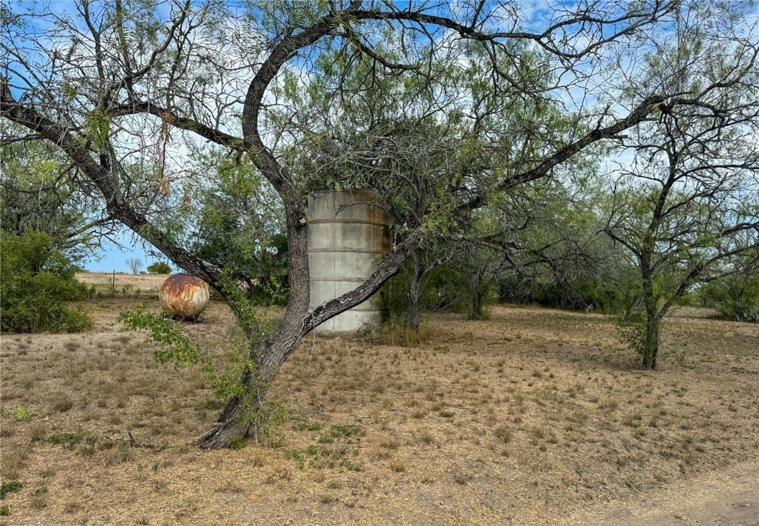 10 acres in Live Oak County gallery image 4