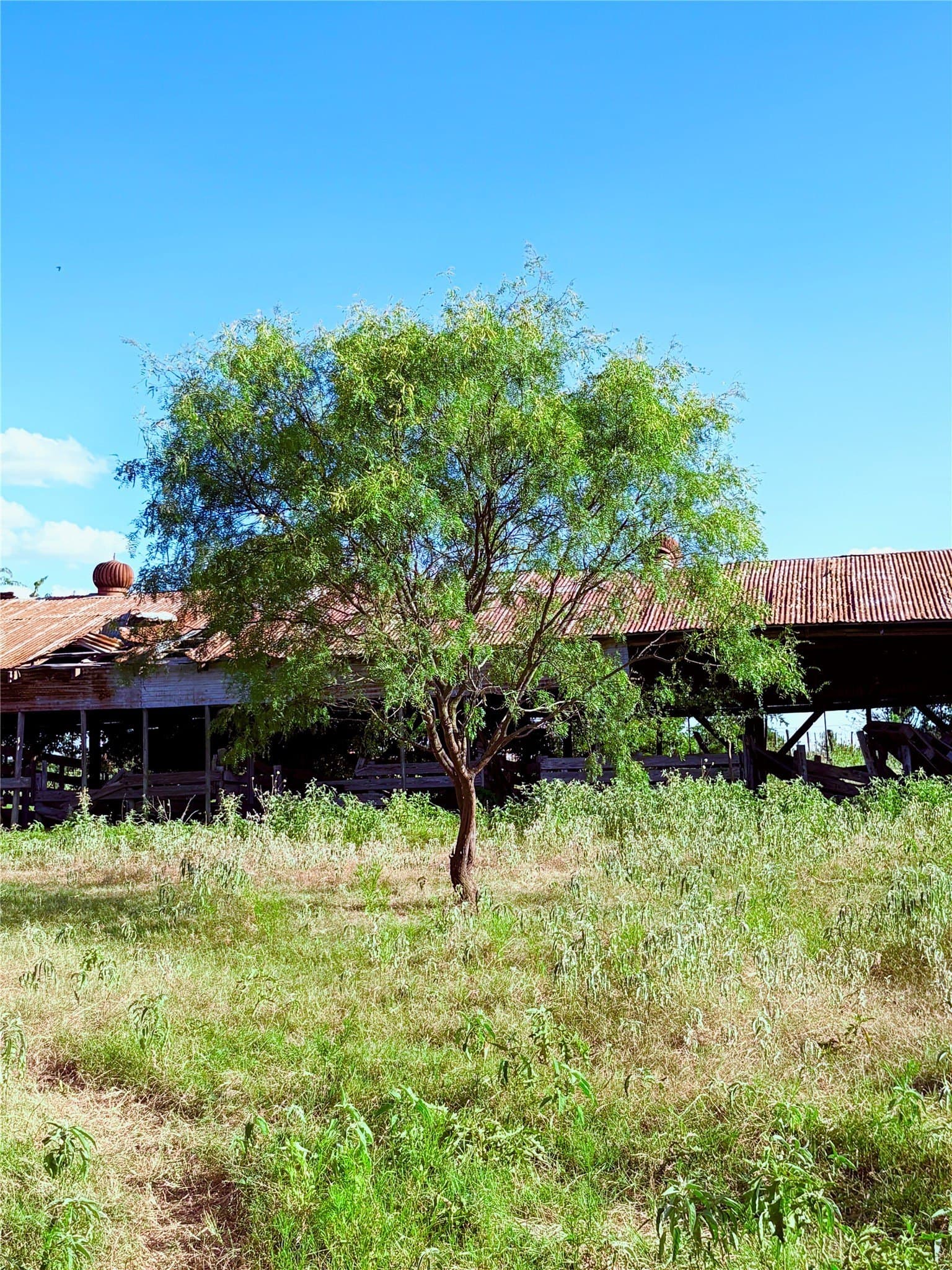 12.37 acres in Falls County - photo 6