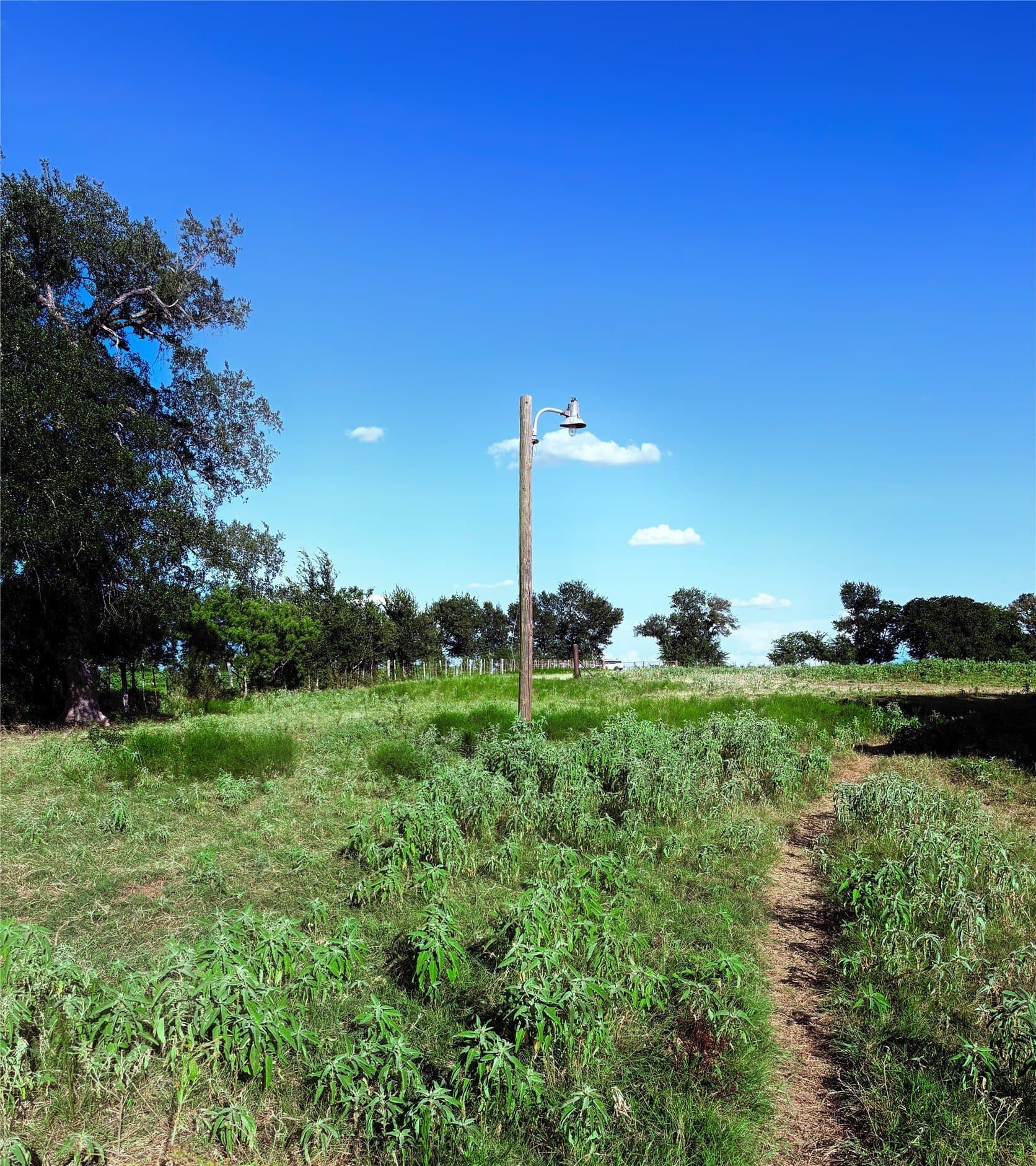 12.37 acres in Falls County - photo 2