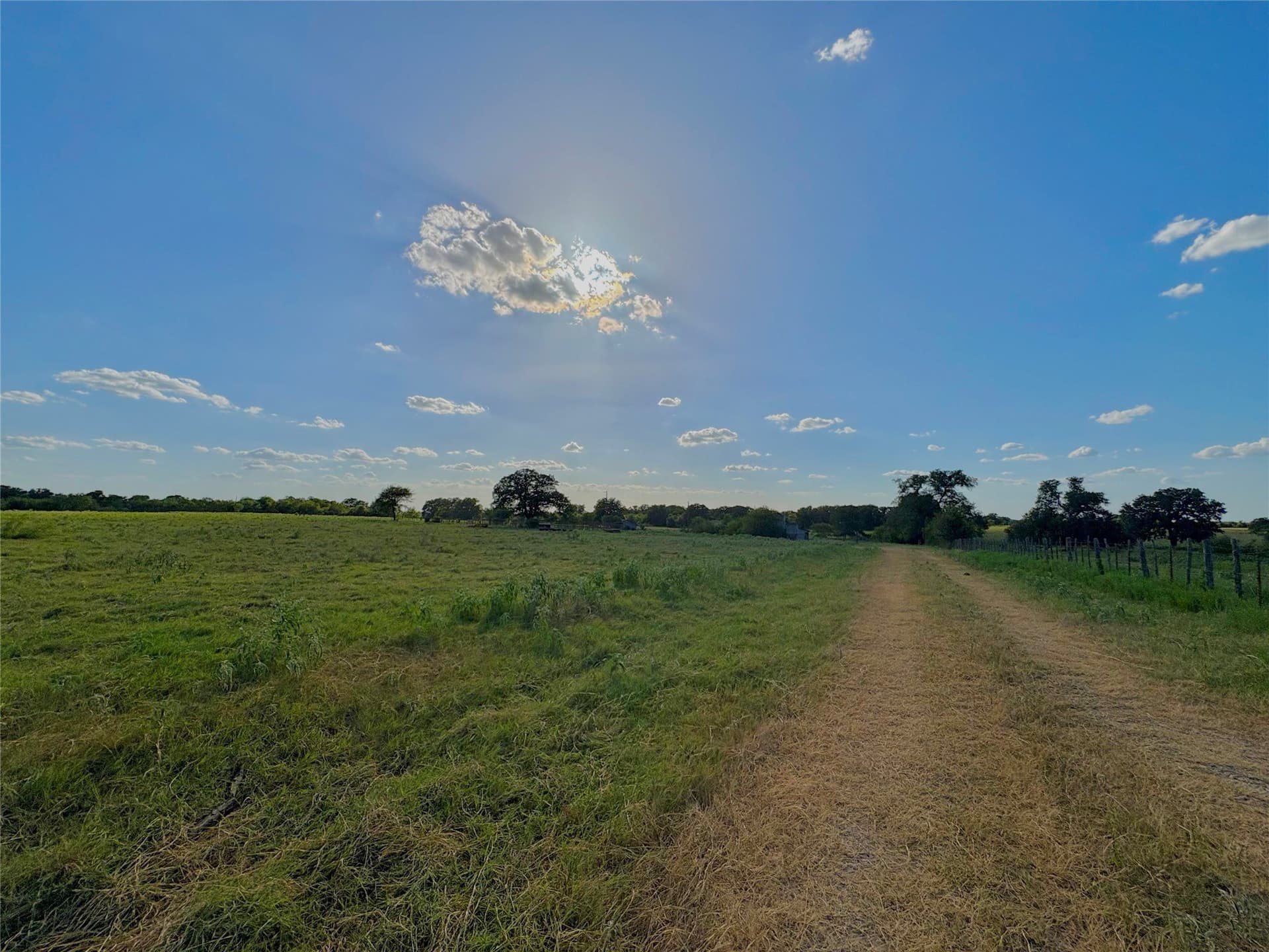 12.37 acres in Falls County - photo 11