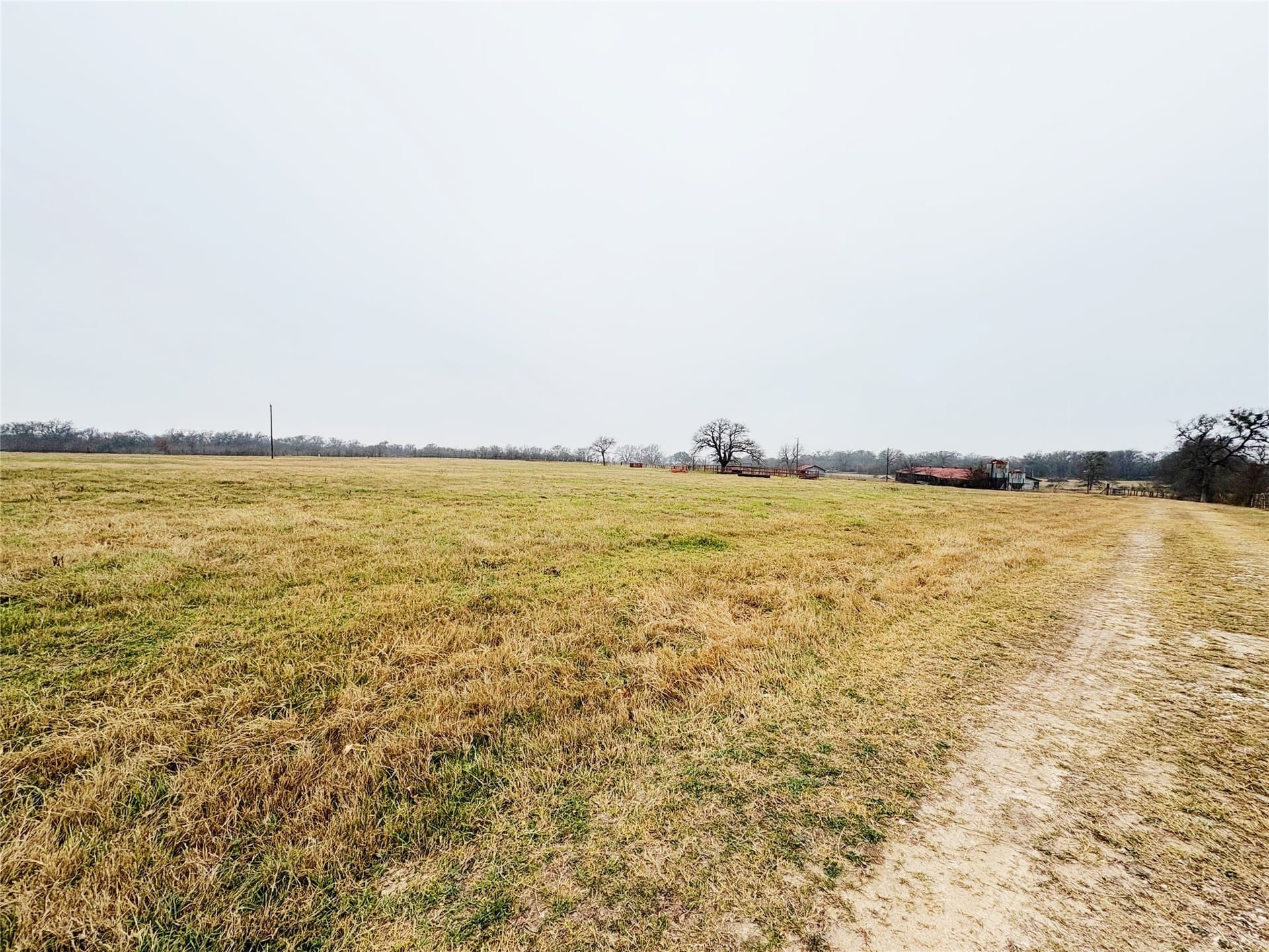12.37 acres in Falls County gallery image 4