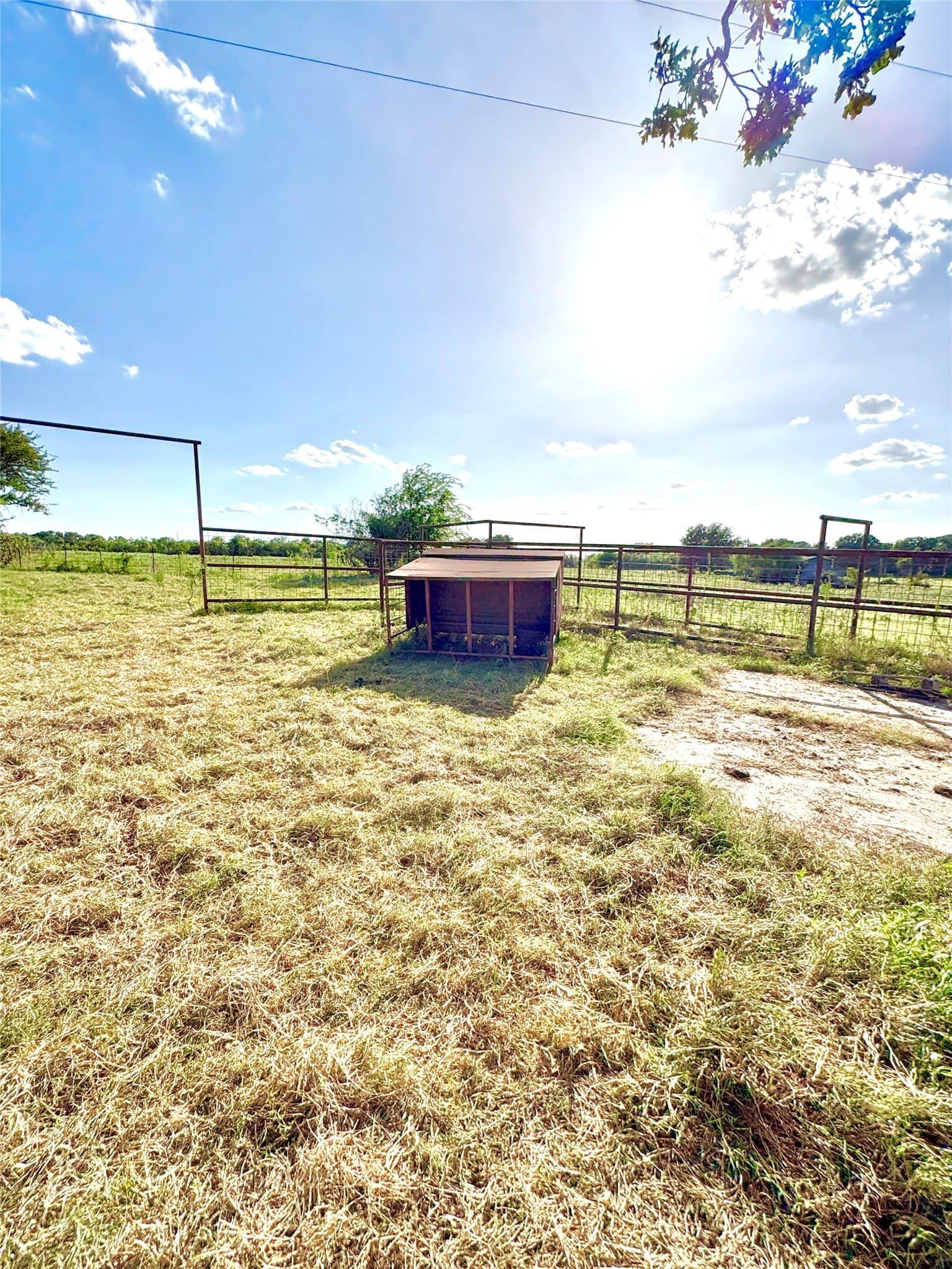 12.37 acres in Falls County - photo 12