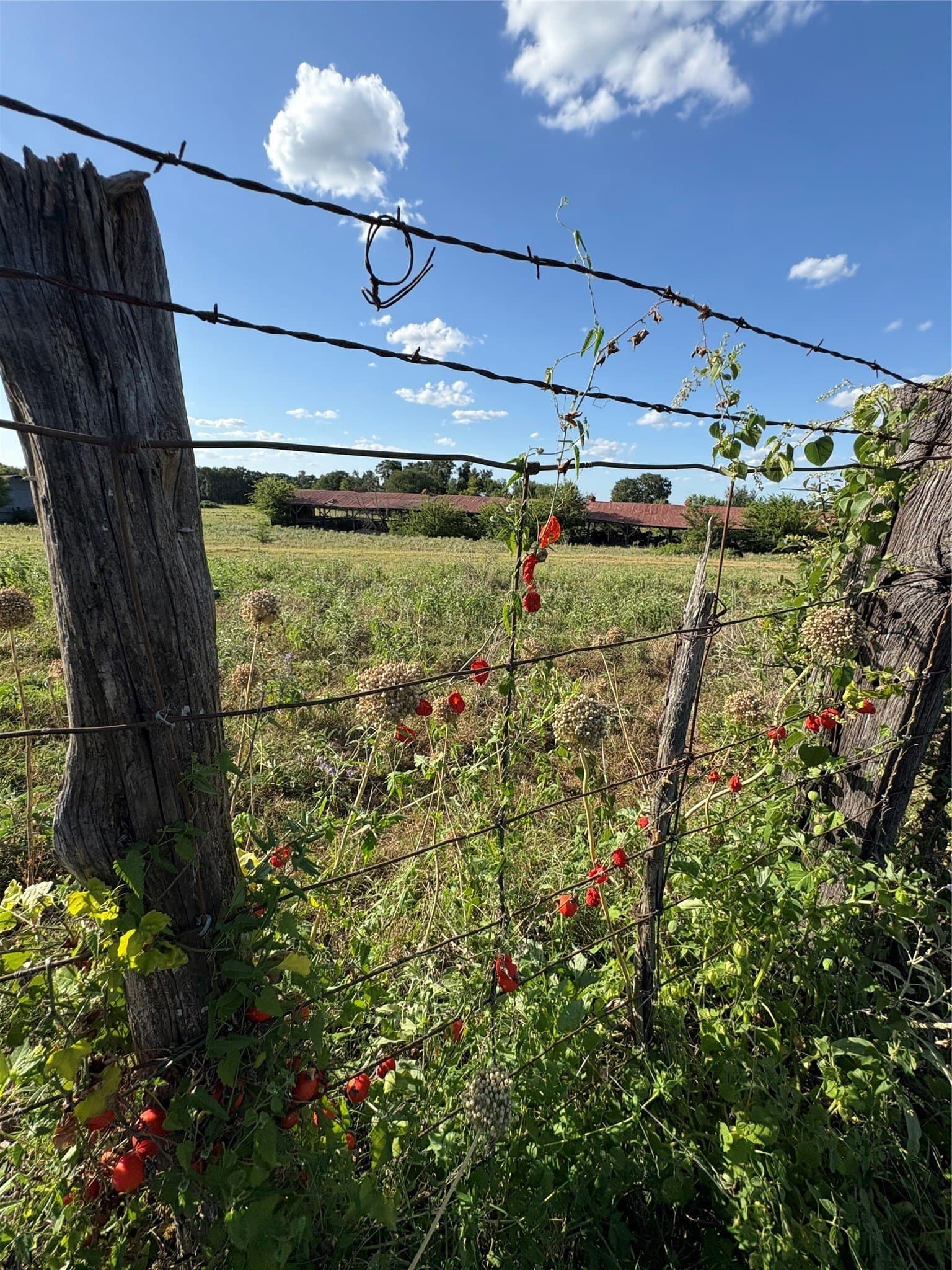 12.37 acres in Falls County - photo 4
