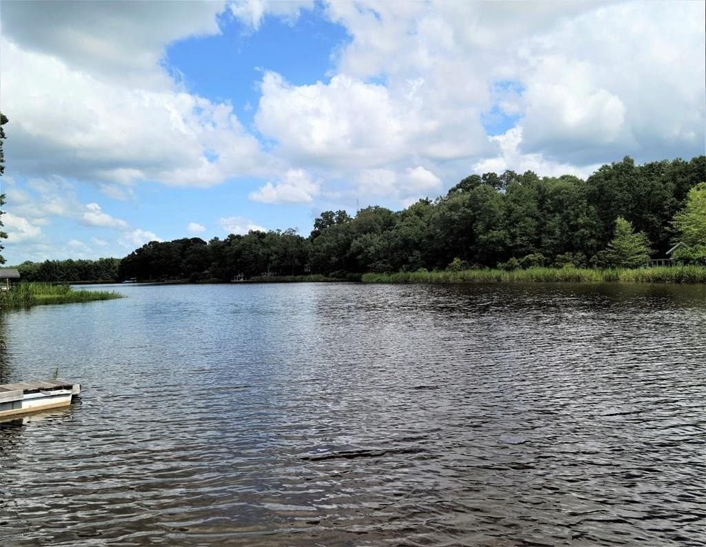 0.17 acres in Van Zandt County - photo 12