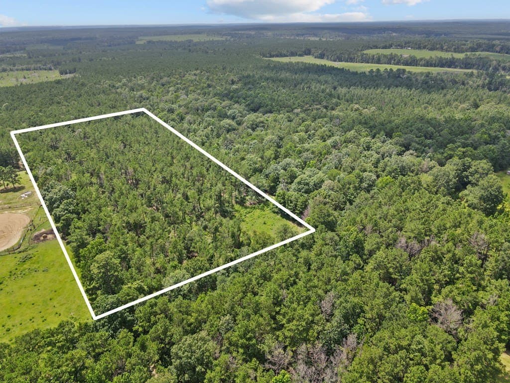 7.14 acres in Texas County gallery image 4