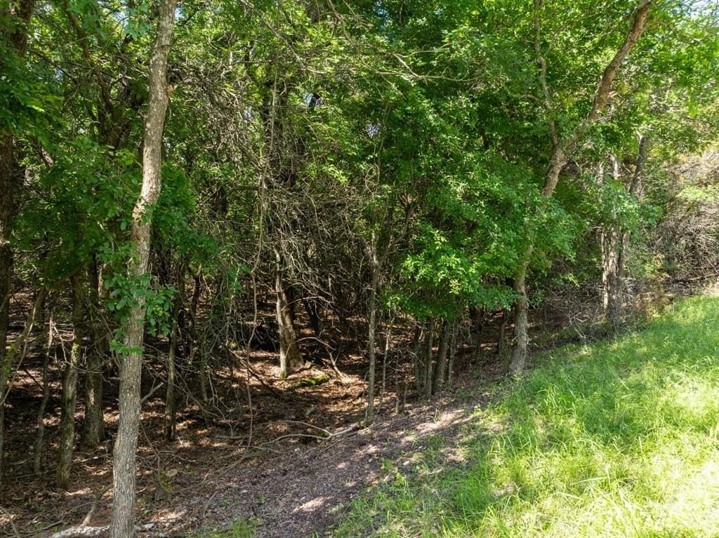 0.35 acres in Hill County gallery image 3