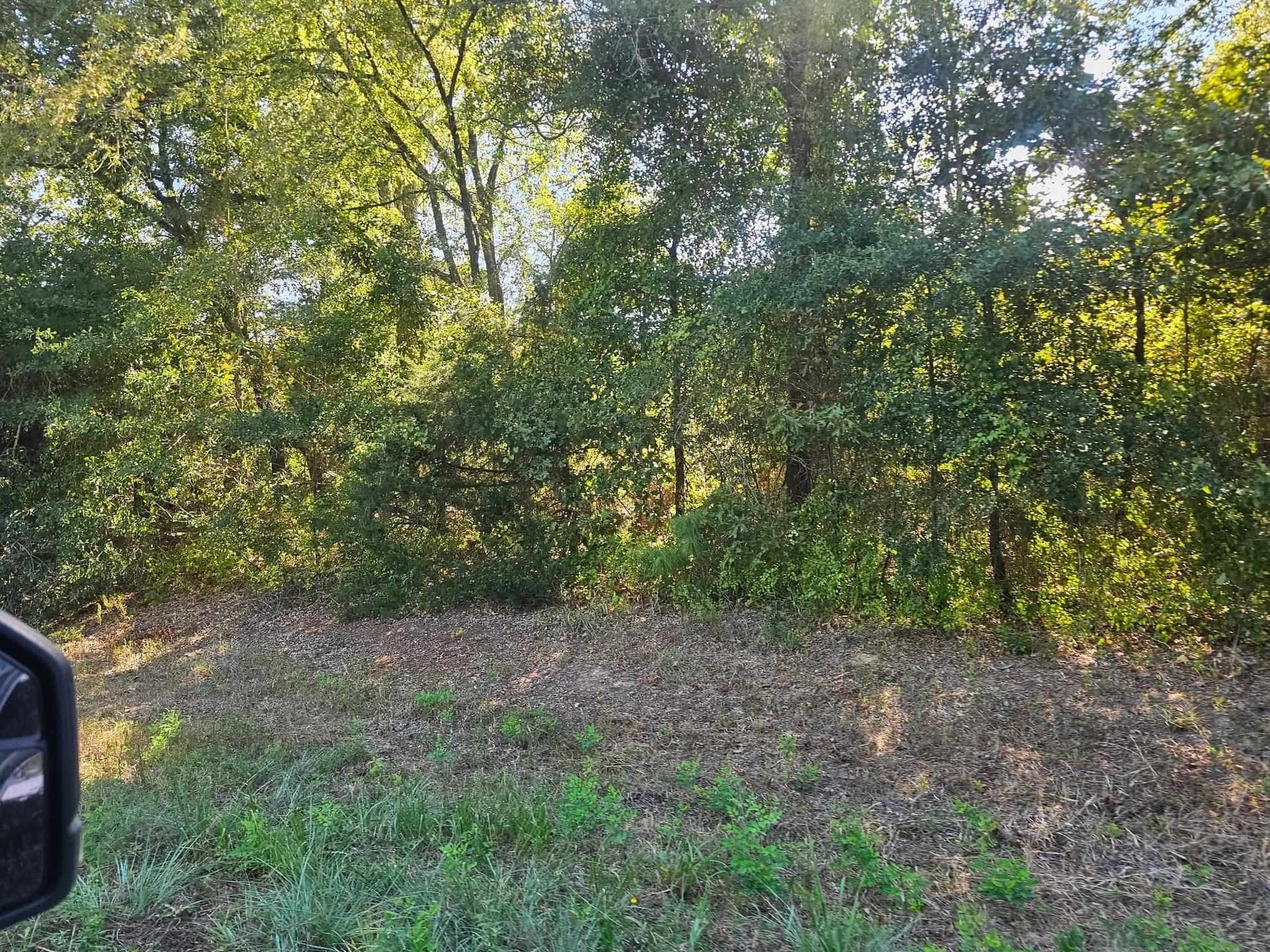 14.84 acres in Texas County