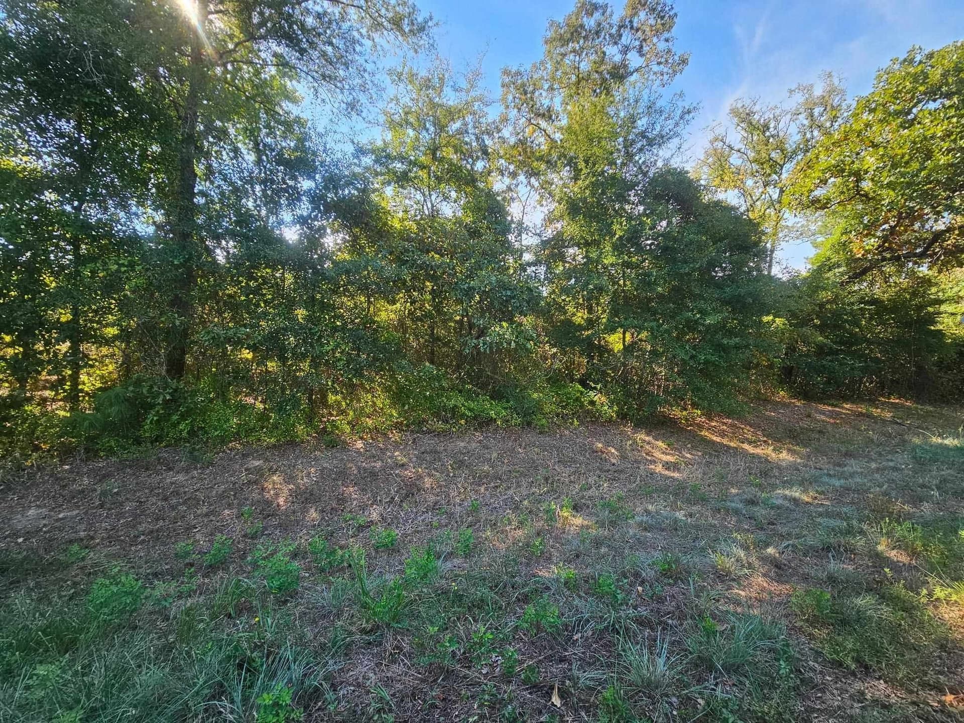 14.84 acres in Texas County - photo 3