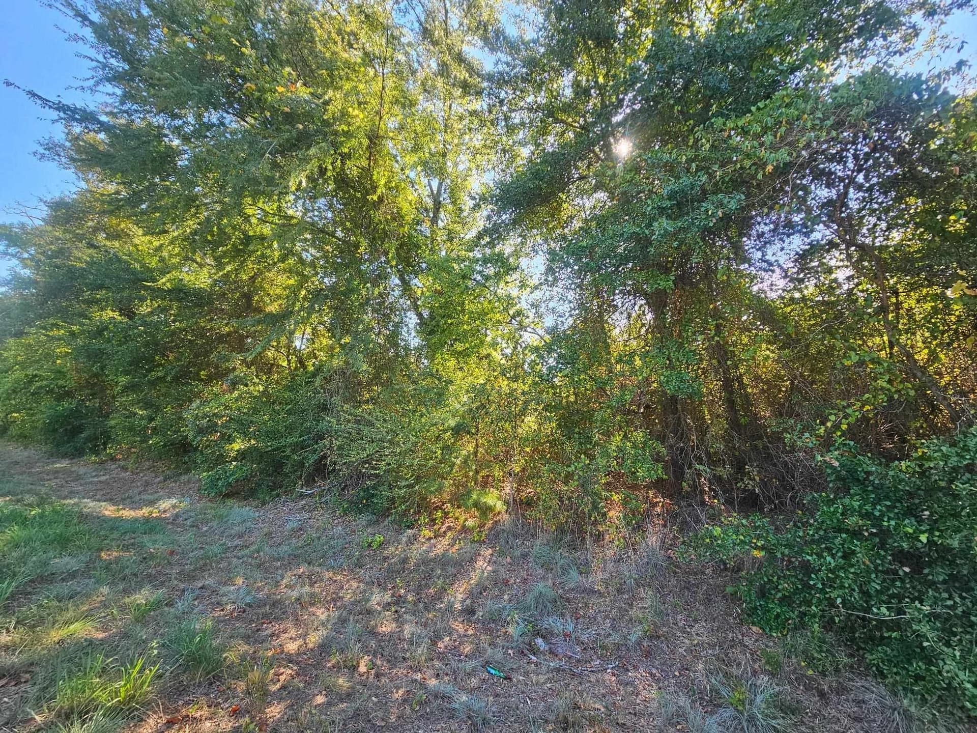 14.84 acres in Texas County - photo 4