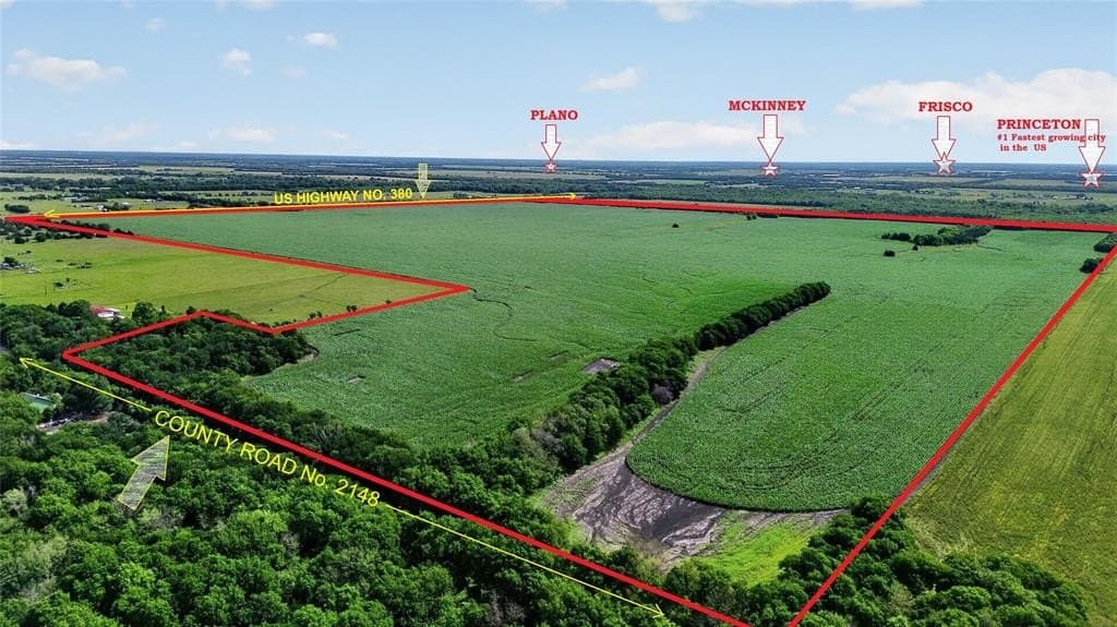 281.55 acres in Hunt County gallery image 3