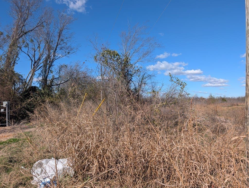 0.23 acres in Henderson County gallery image 4