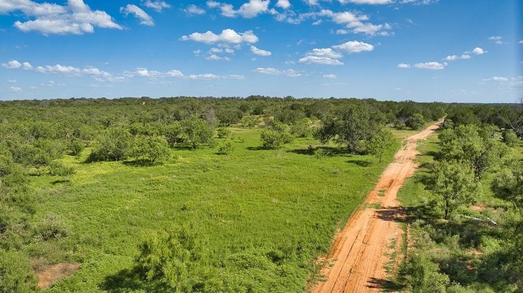 93 acres in Mason County gallery image 2